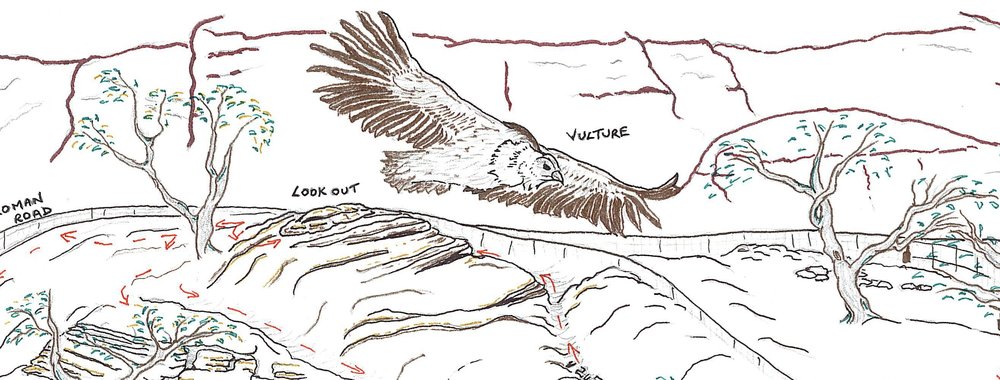 Vix's vulture from the nature trail map