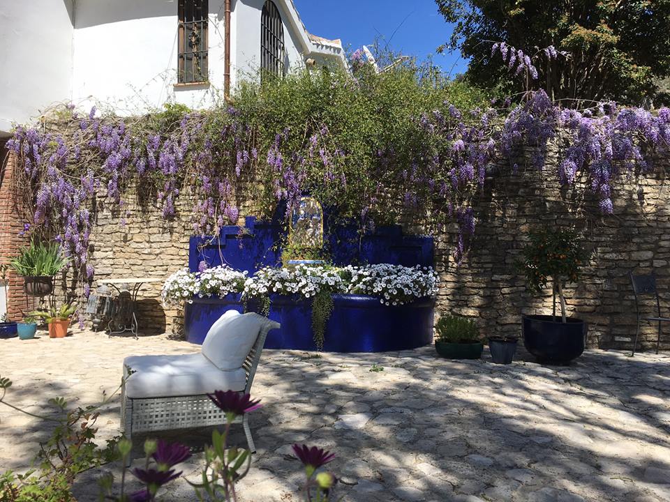 Wonderful wisteria at La Cazalla