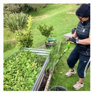 He Rā Whatiwhati Kō: A Working Bee