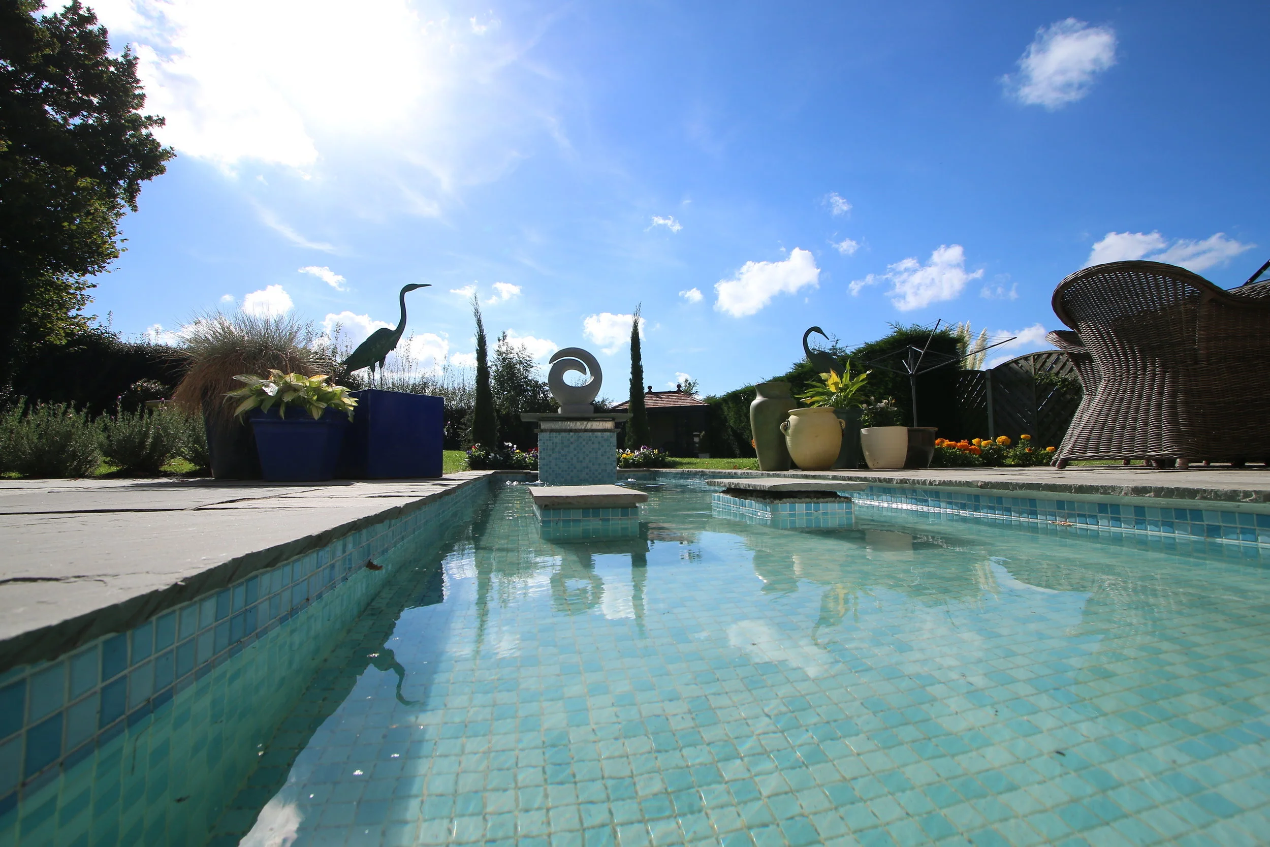 GARDEN 5.JPG