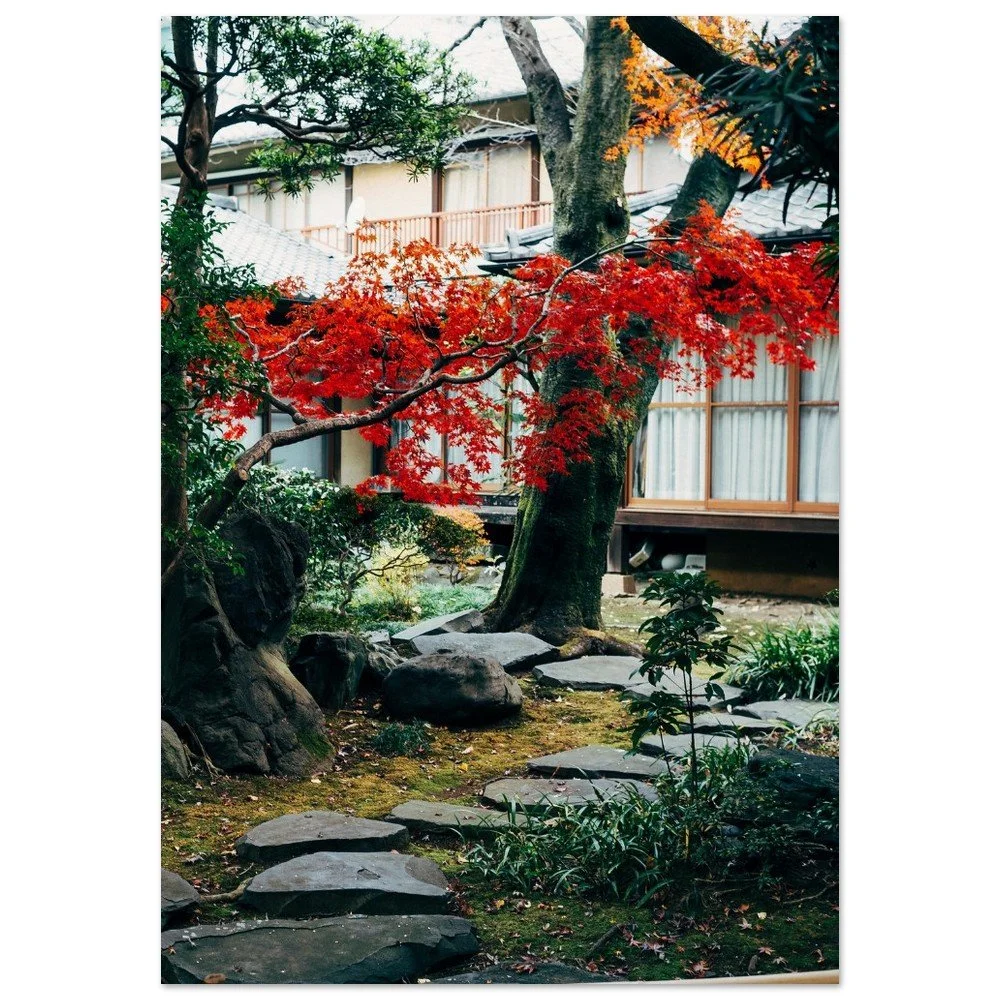 tmp-296-LsjyLvLEyHRE