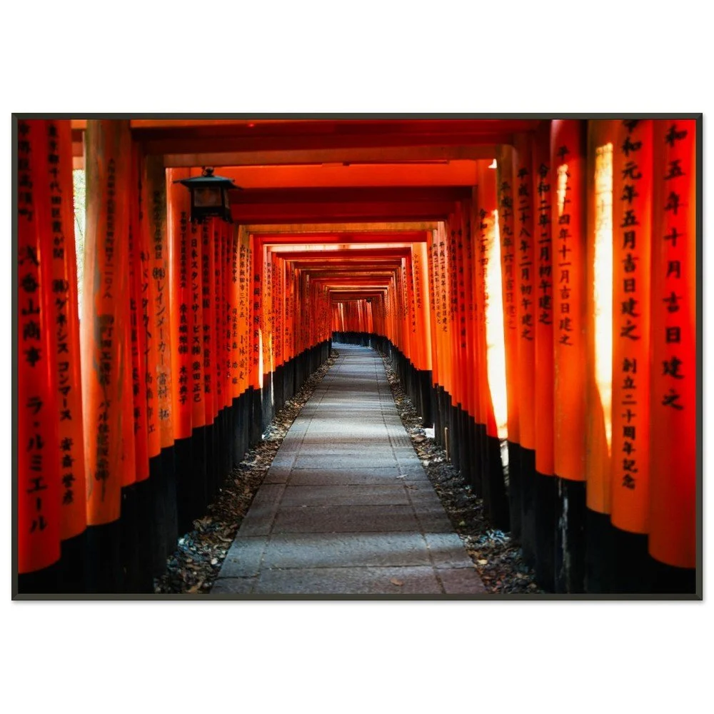 tmp-2022-dpPmy9H1wq1f