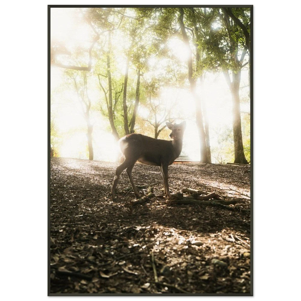 tmp-1787-iJQiXCHOKLR2