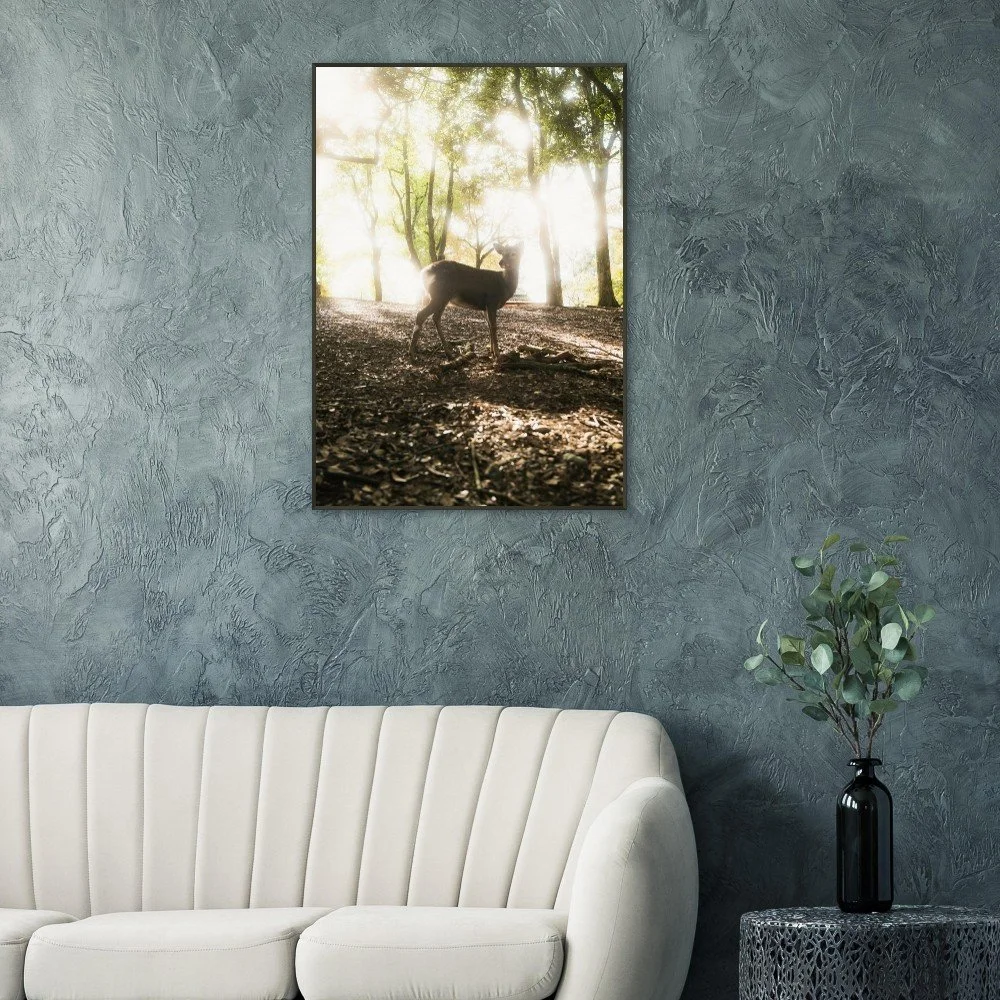 tmp-1787-chBQRfAOVm1V