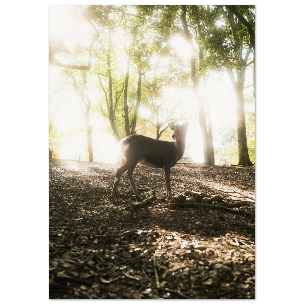 tmp-151-IAdZ6zqROq81