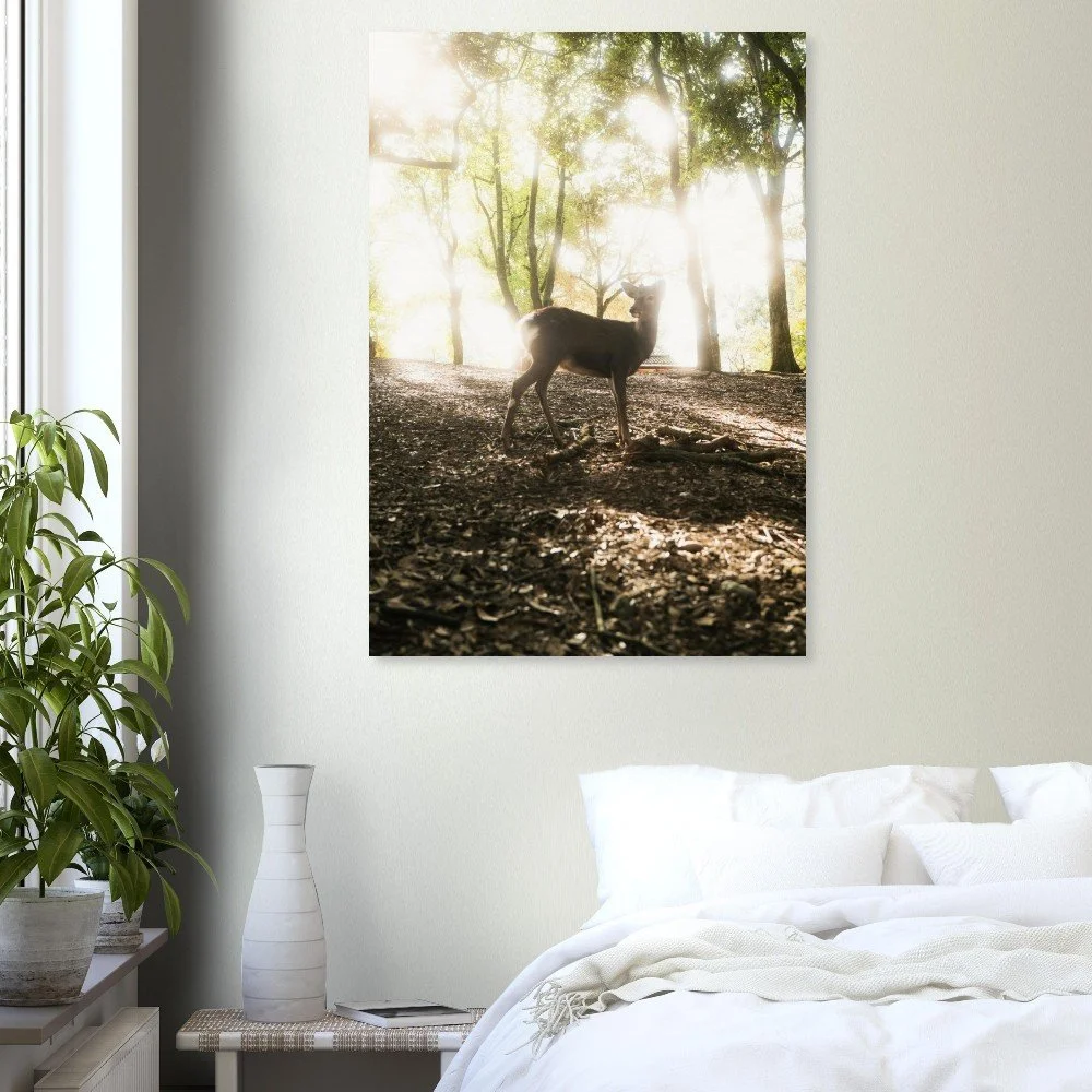 tmp-151-3jLQgMwcQPkx