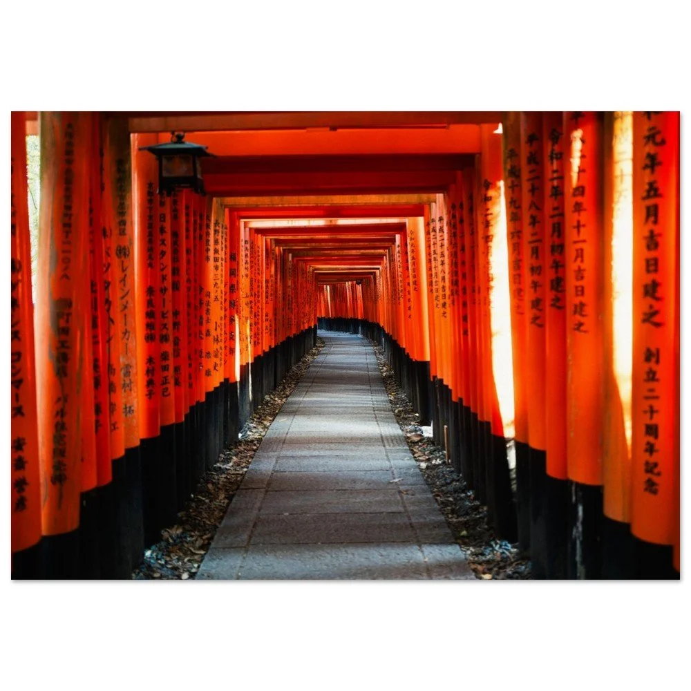 tmp-2379-mwjh9mUnvaLB