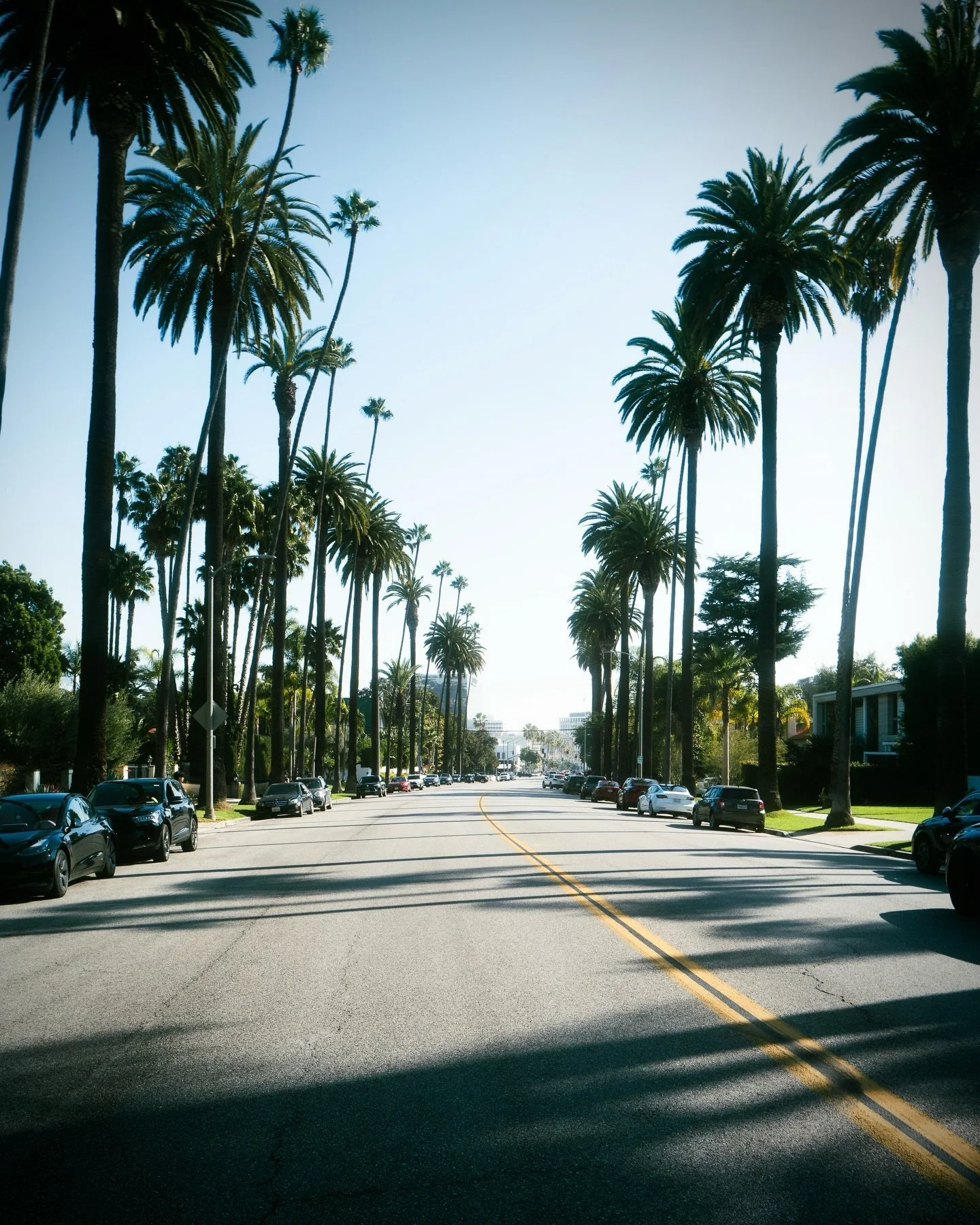 I need more palm trees on my feed. With the cold weather outside, I'm finding comfort in photos of sunny California from my last trip.

[1-4] what&rsquo;s your favorite?