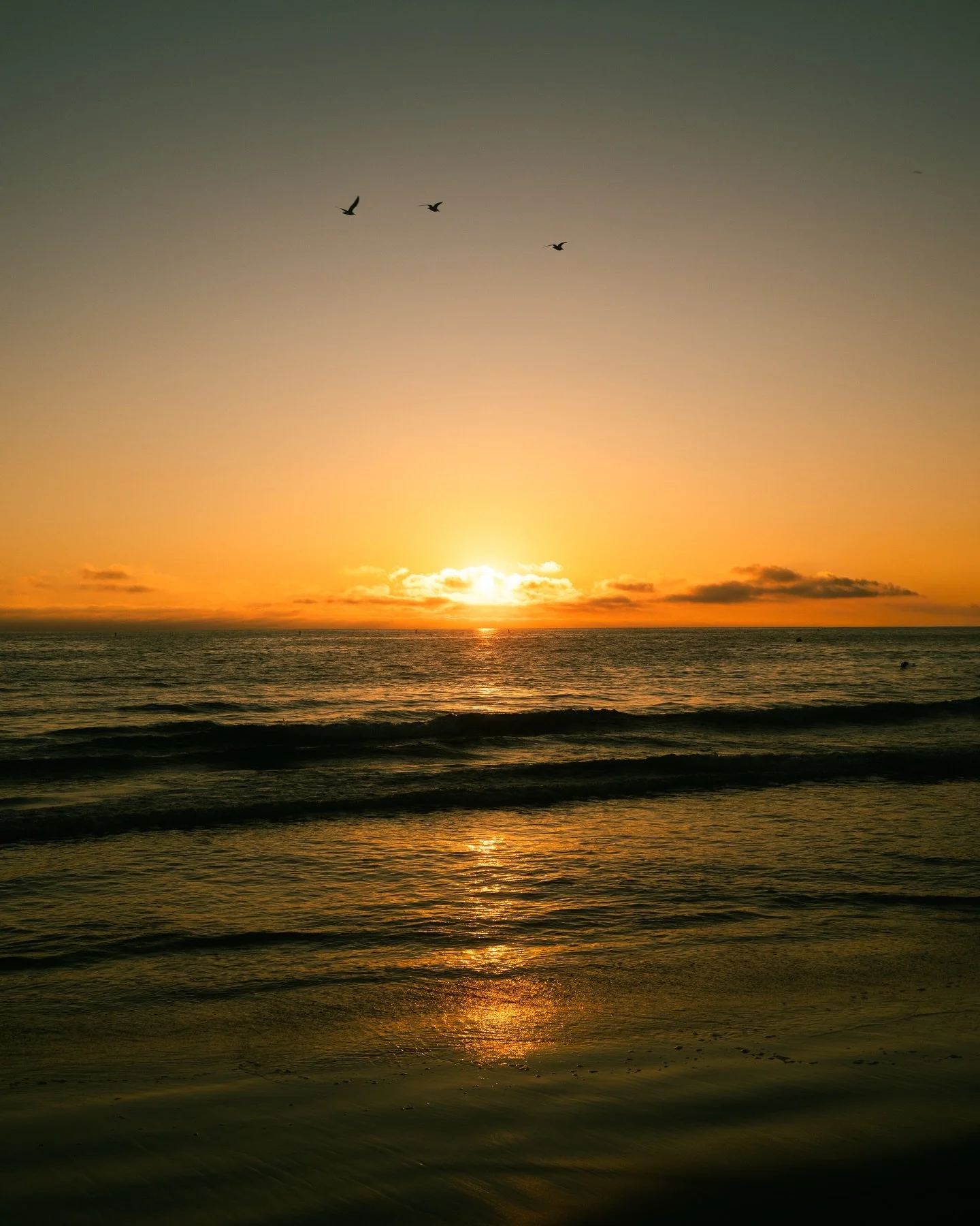 Kicking off 2026 with my first post!

Wishing you all a fantastic start to the year. Since it's a winter wonderland here, i'm craving some sunny Cali pics in my feed. 

[1-8] what&rsquo;s your favorite photo?