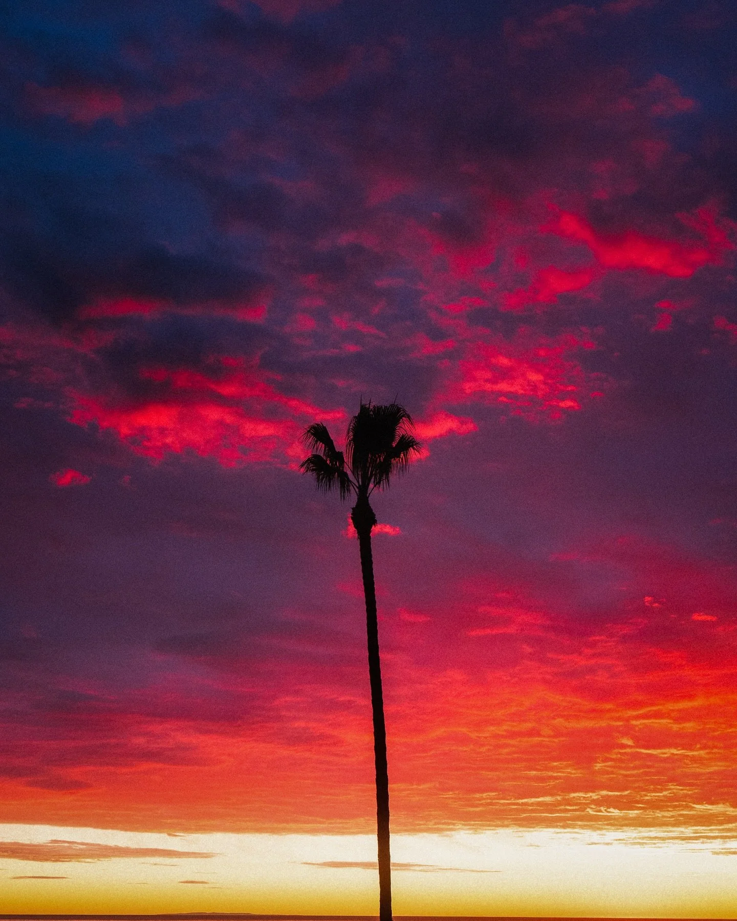 The sunset was breathtaking. Definitely in my top 3 sunsets ever. San Clemente, California.
