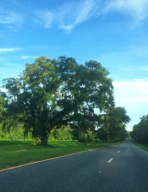 My daily drive
