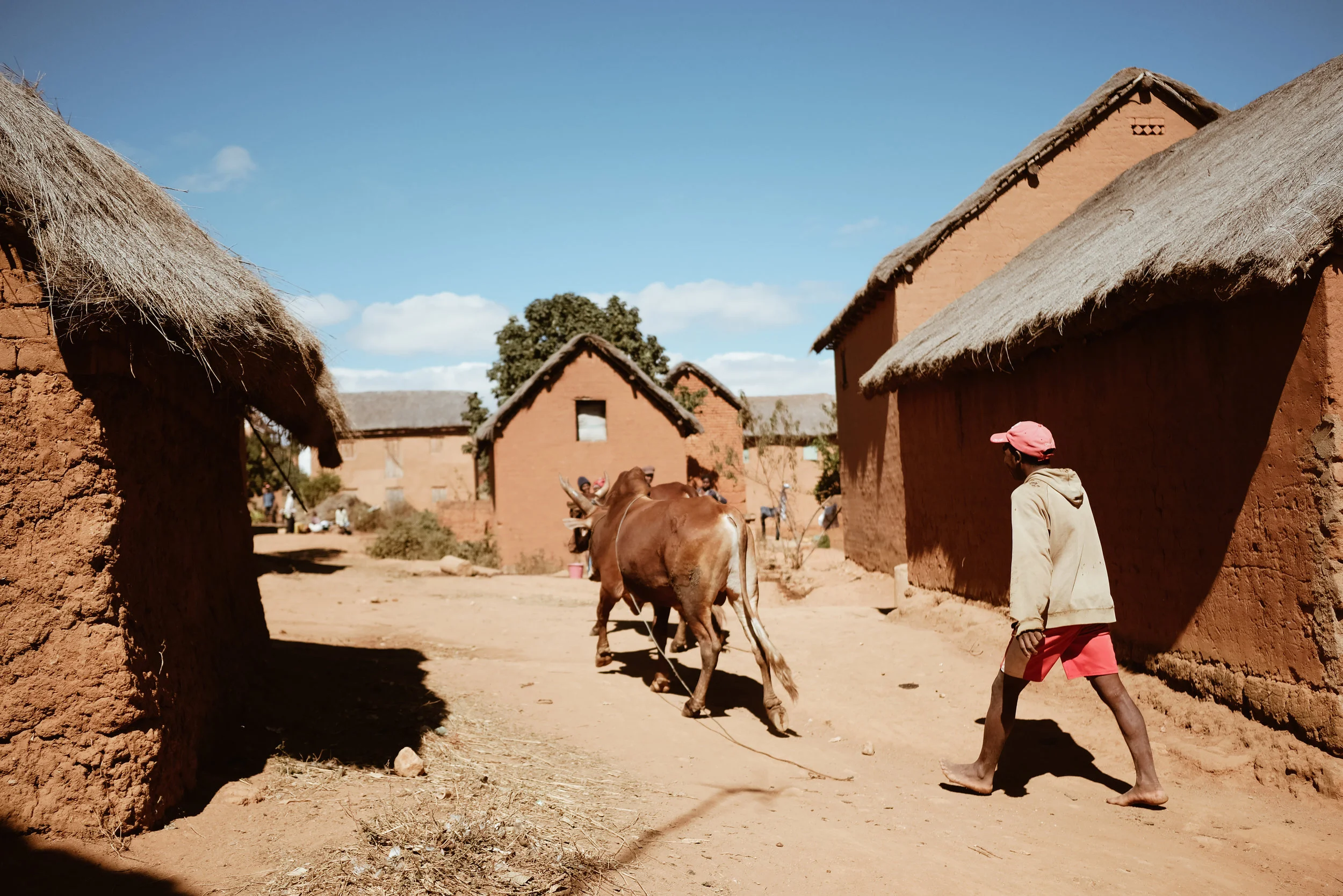 The day started with a walk through the nearby highland village of Sarimanina outside Antananarivo.