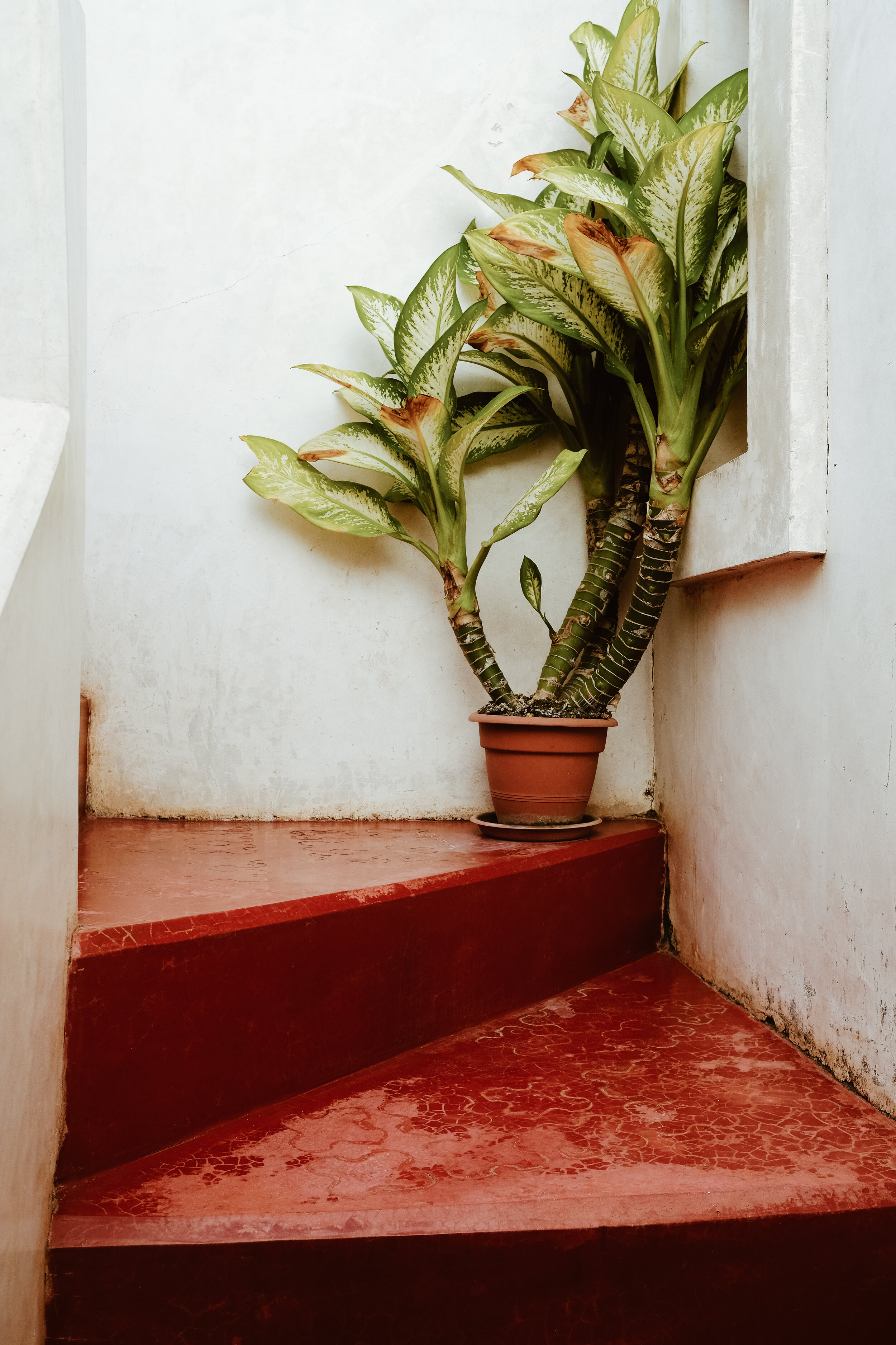 Andavelo House, Lamu
