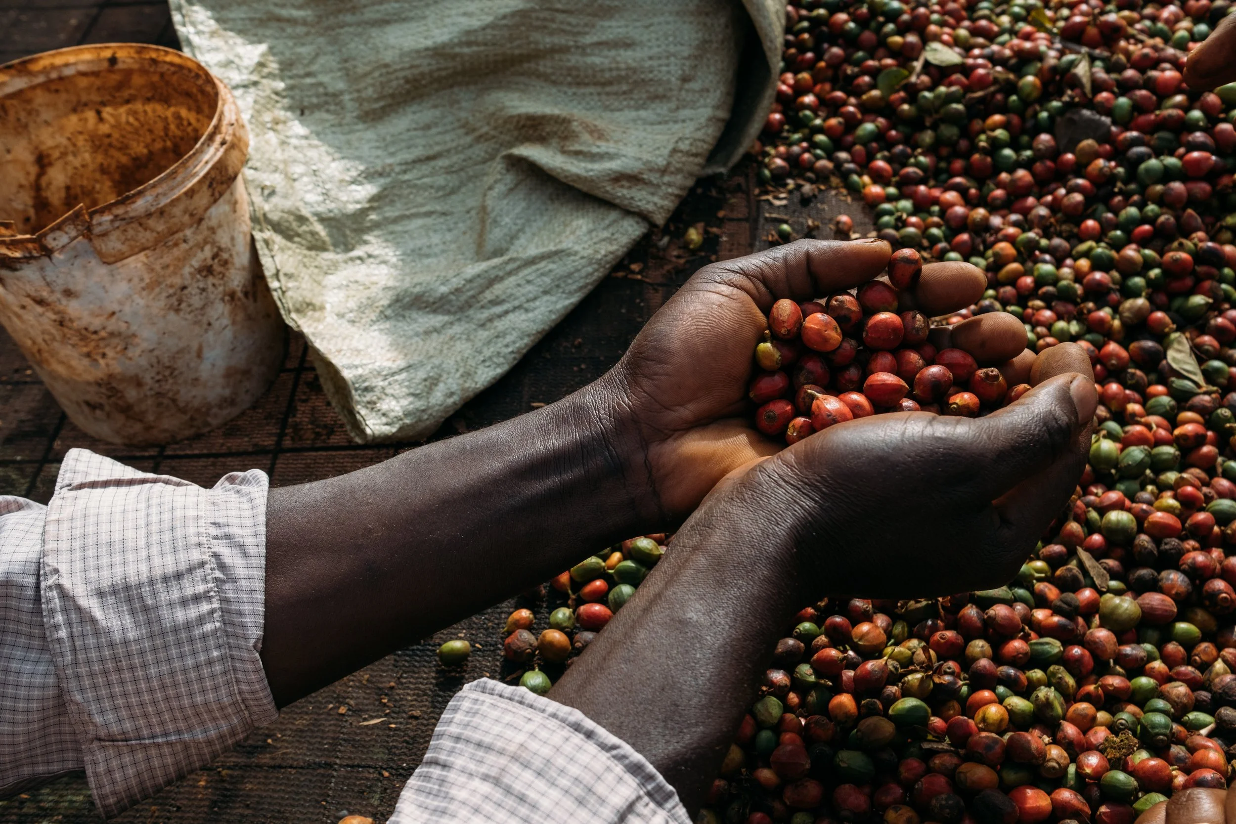 cli-uganda-1.jpg