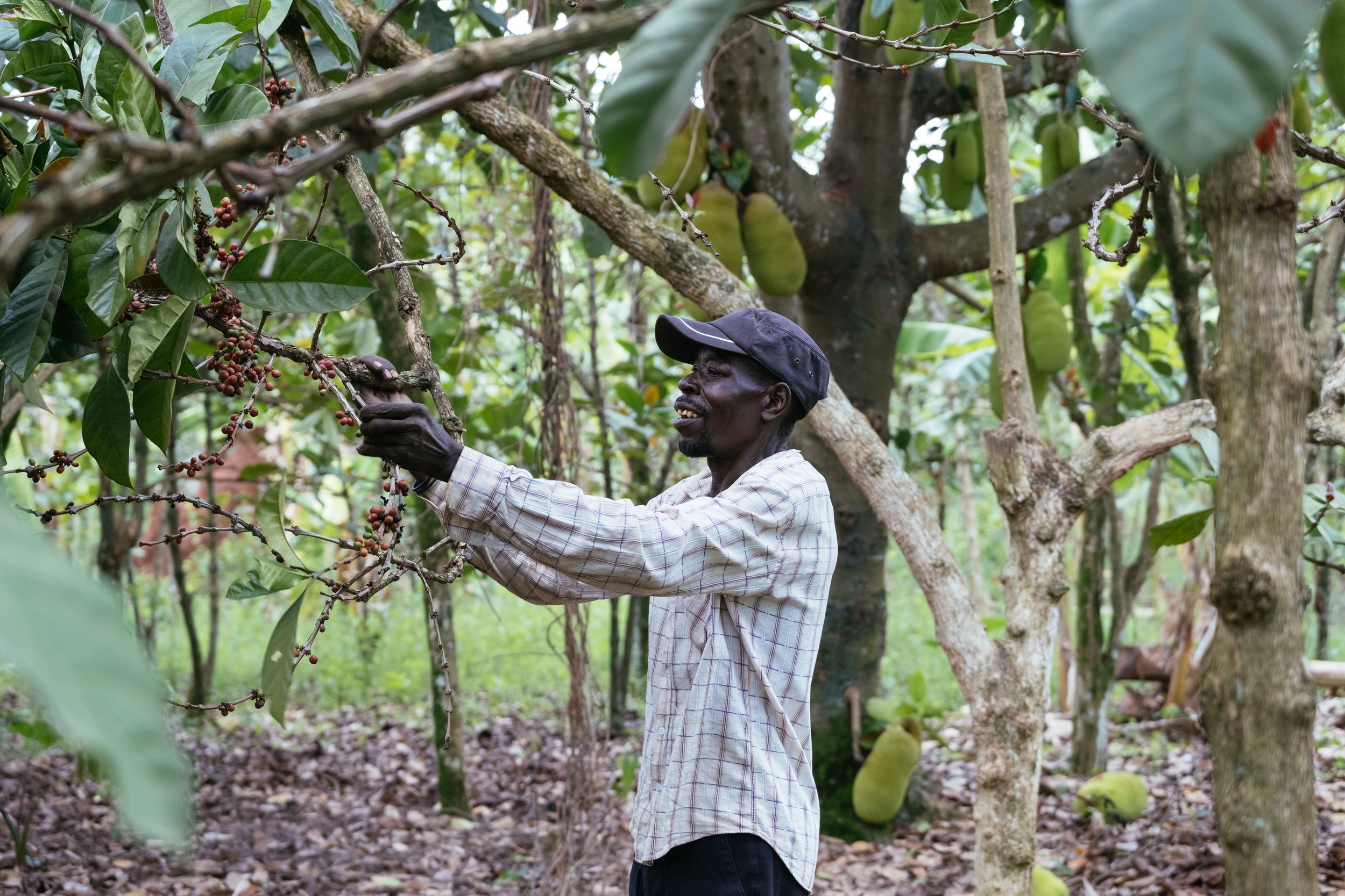 cli-uganda-22.jpg