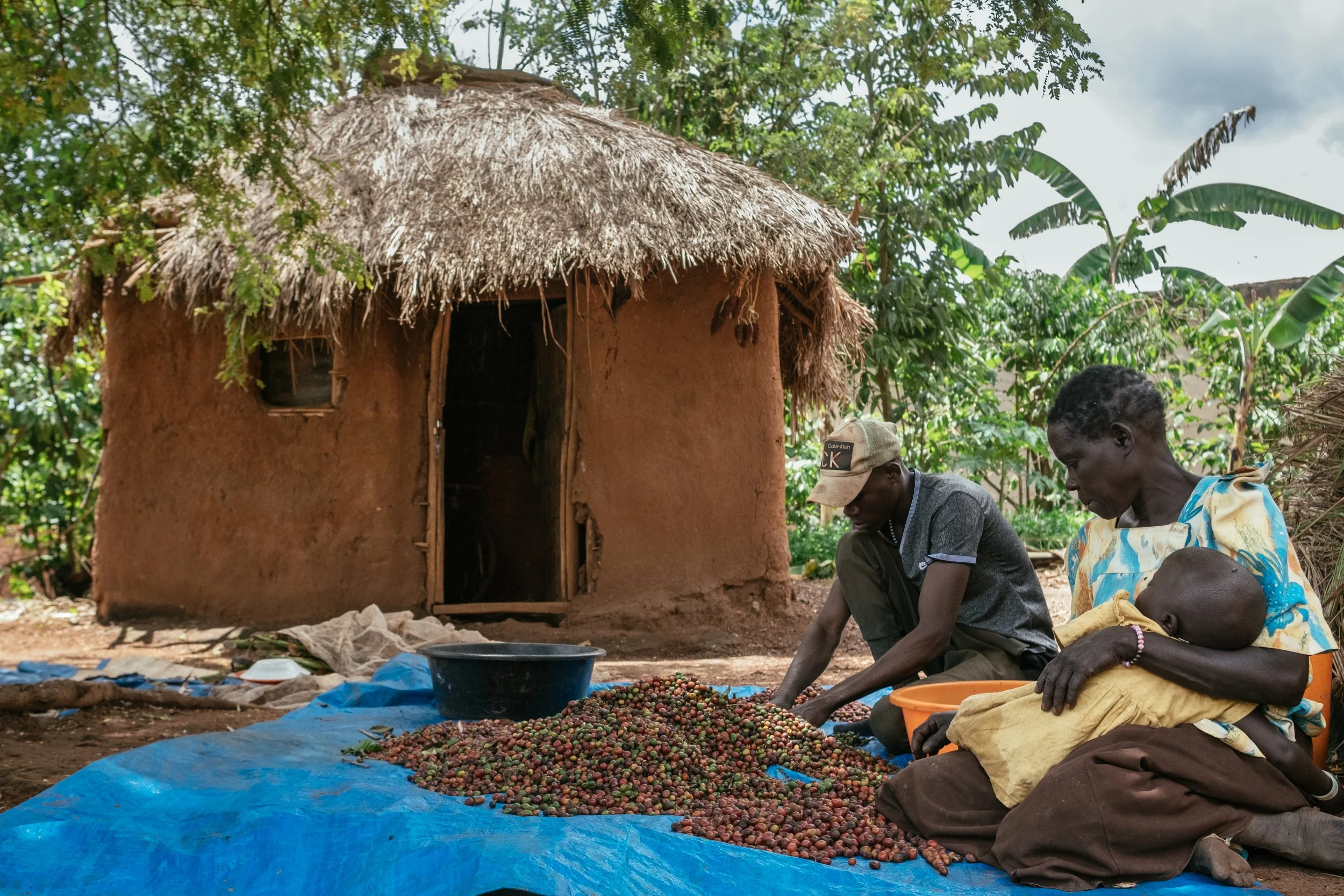 cli-uganda-26.jpg