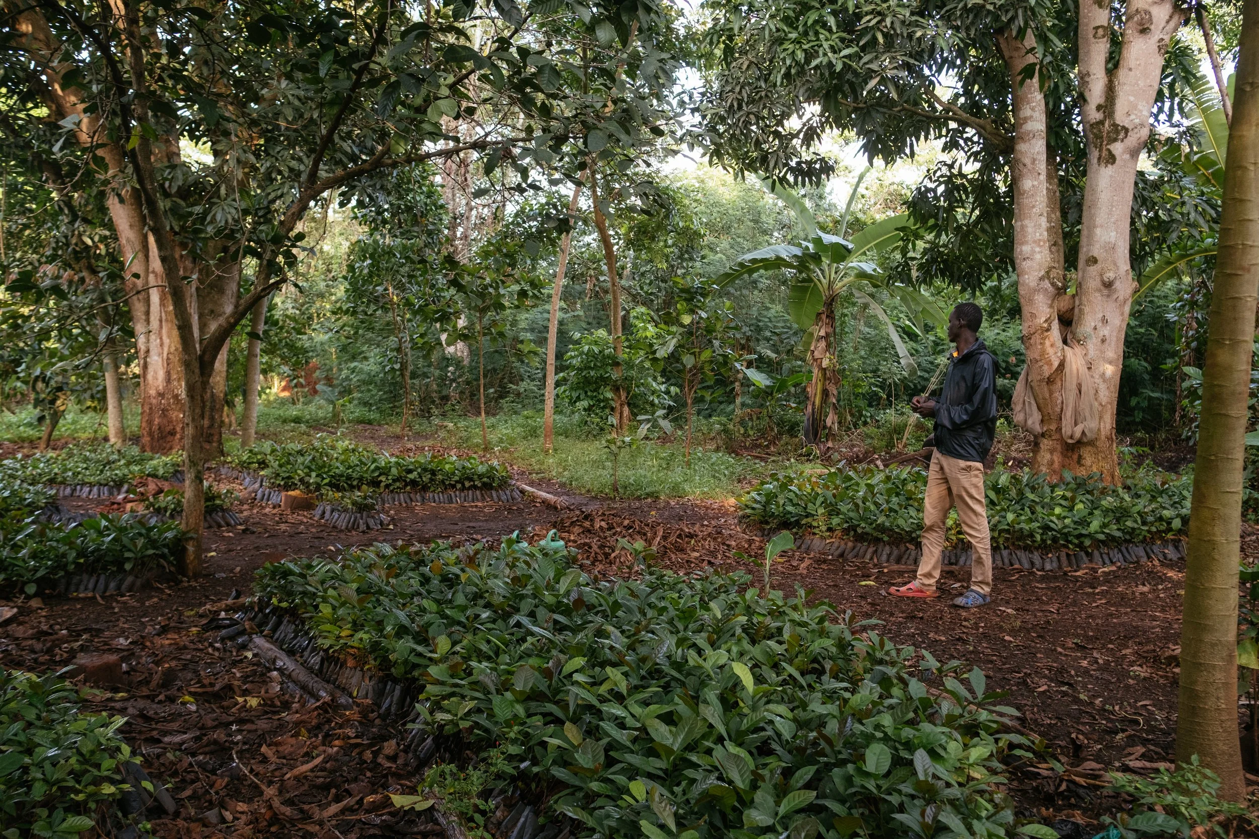 cli-uganda-34.jpg