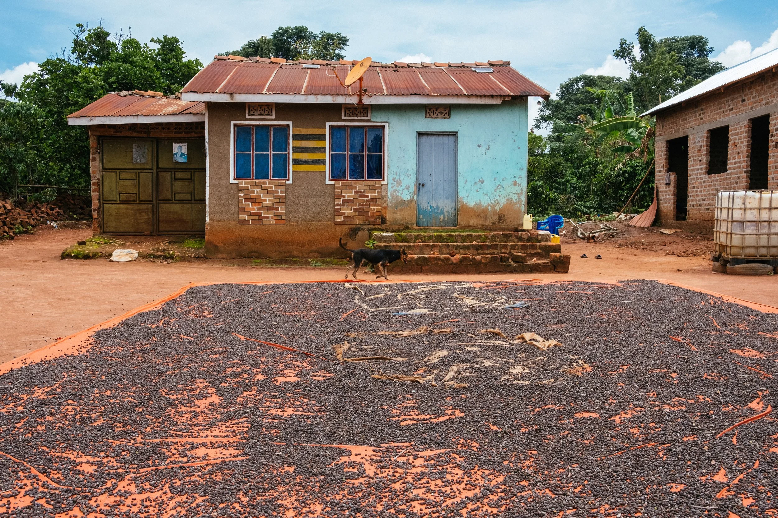 cli-uganda-21 copy.jpg