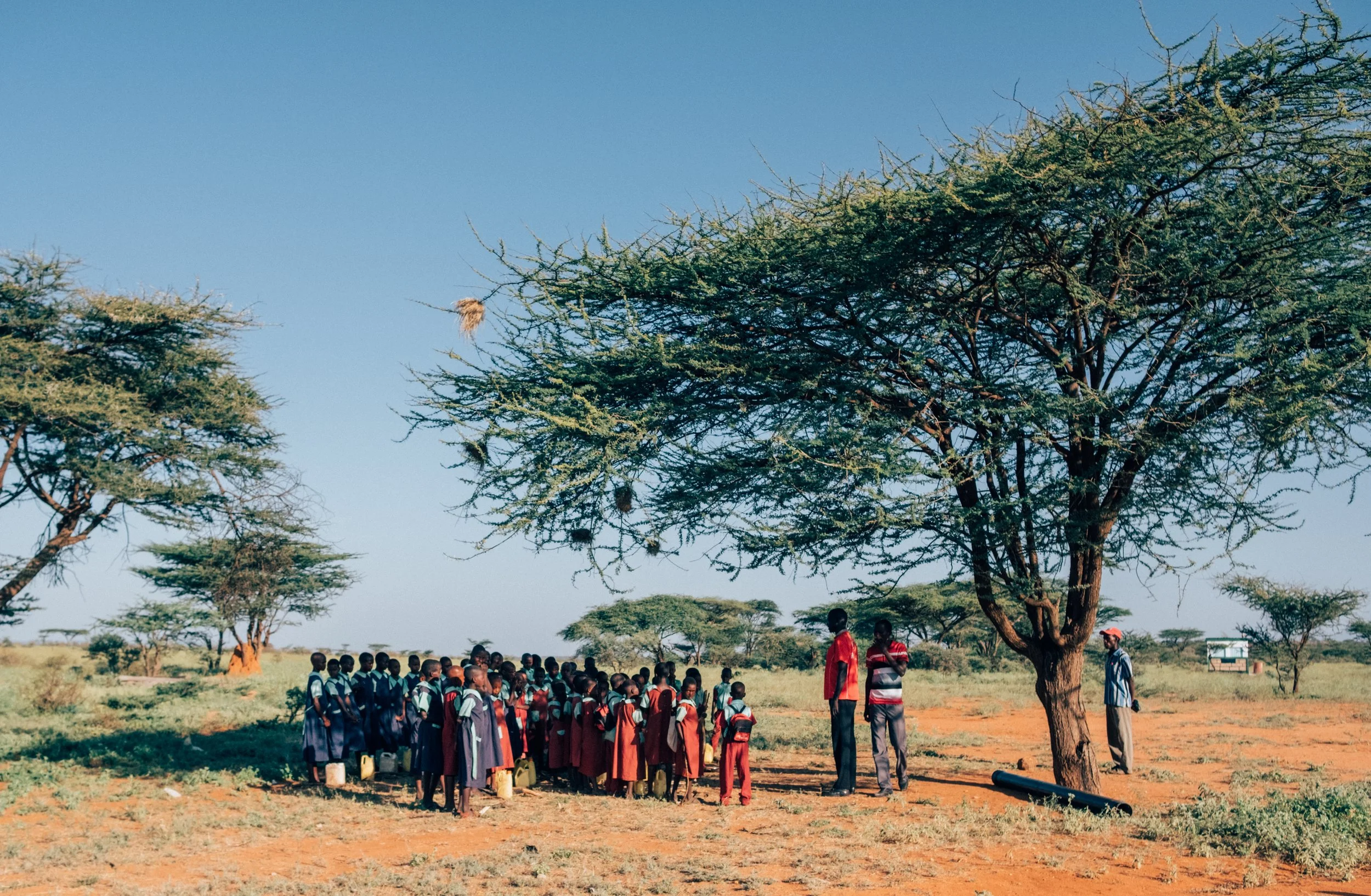 locusts_kenya-4.jpg