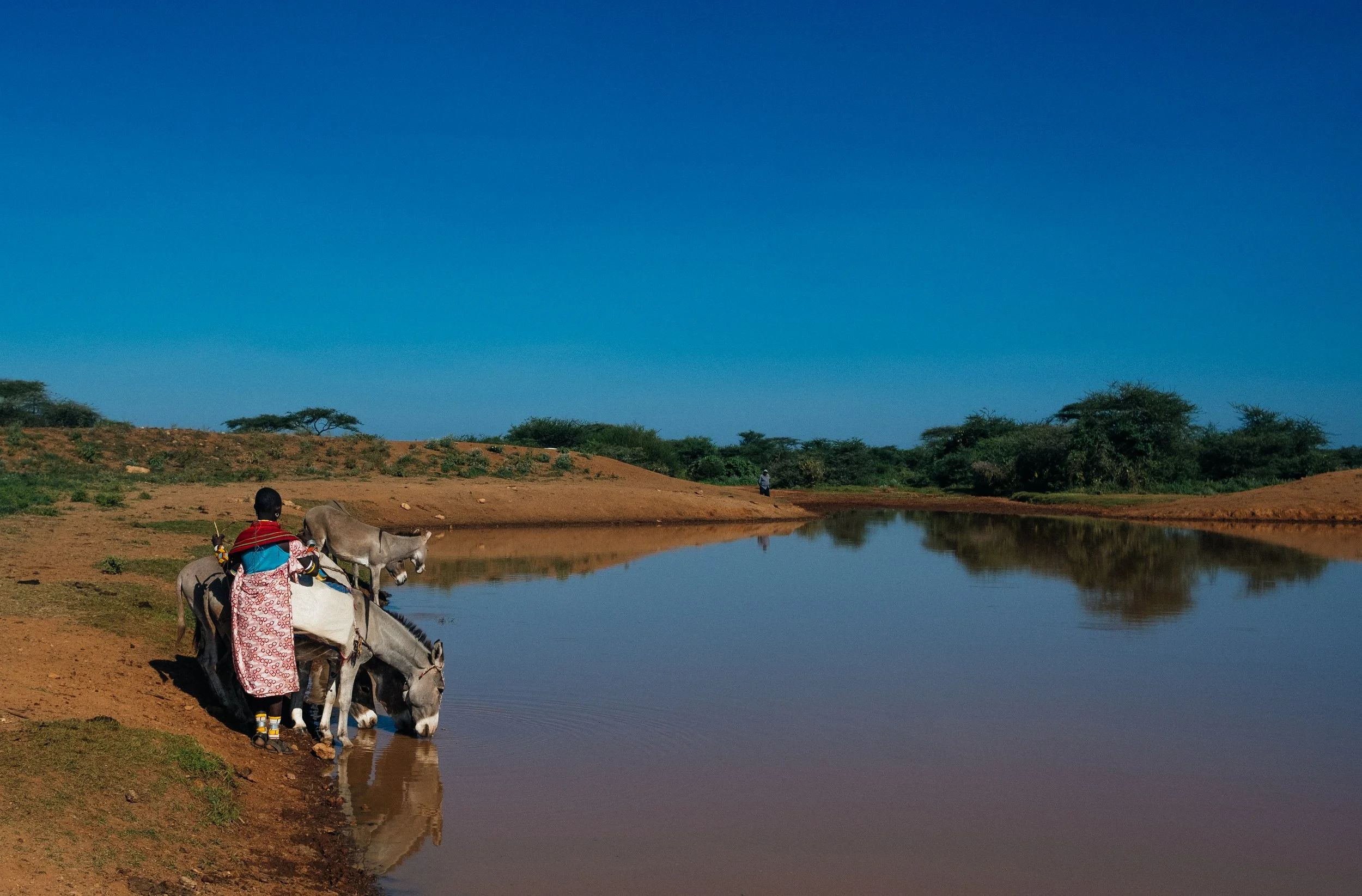 locusts_kenya-42.jpg