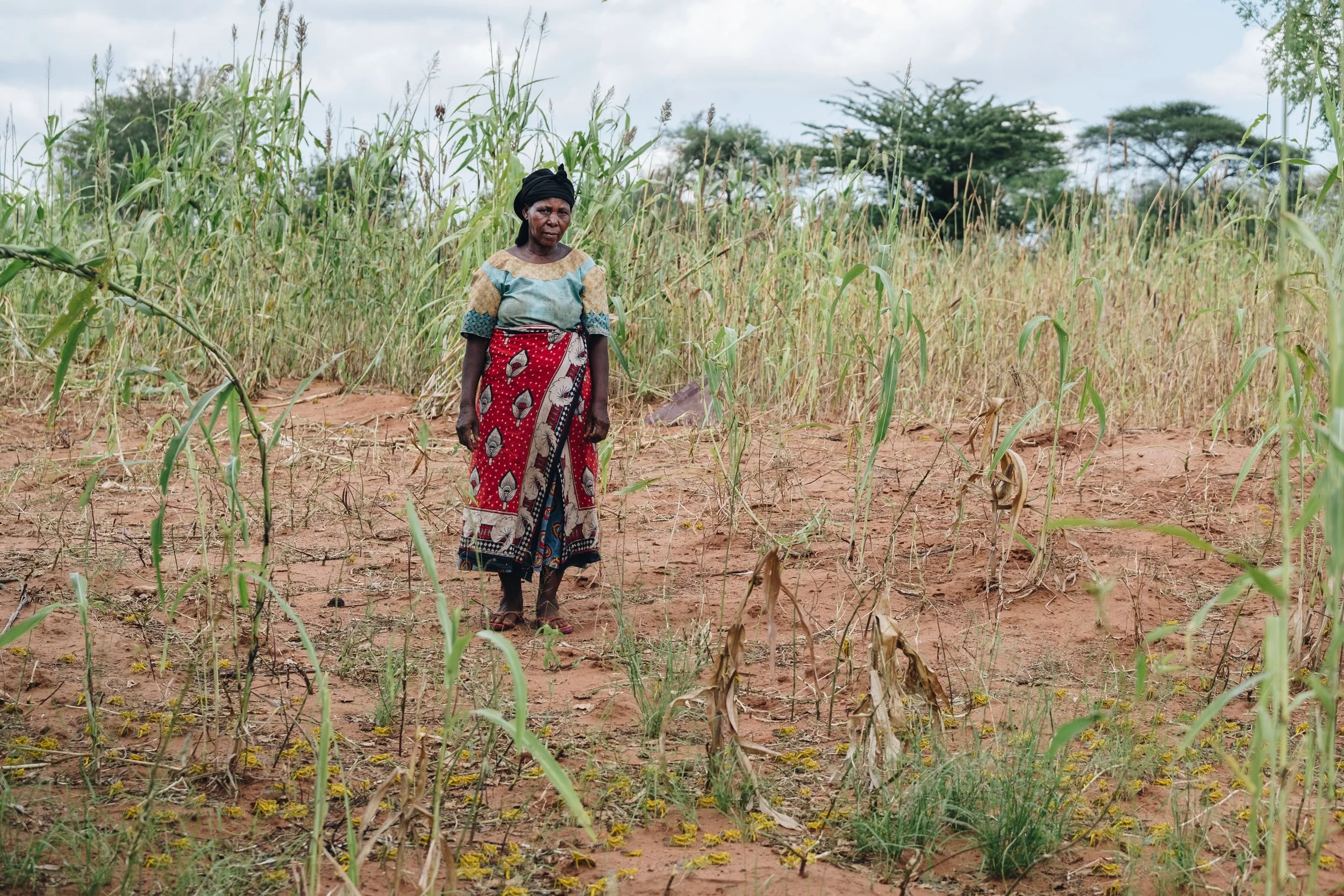 locusts_kenya-47.jpg