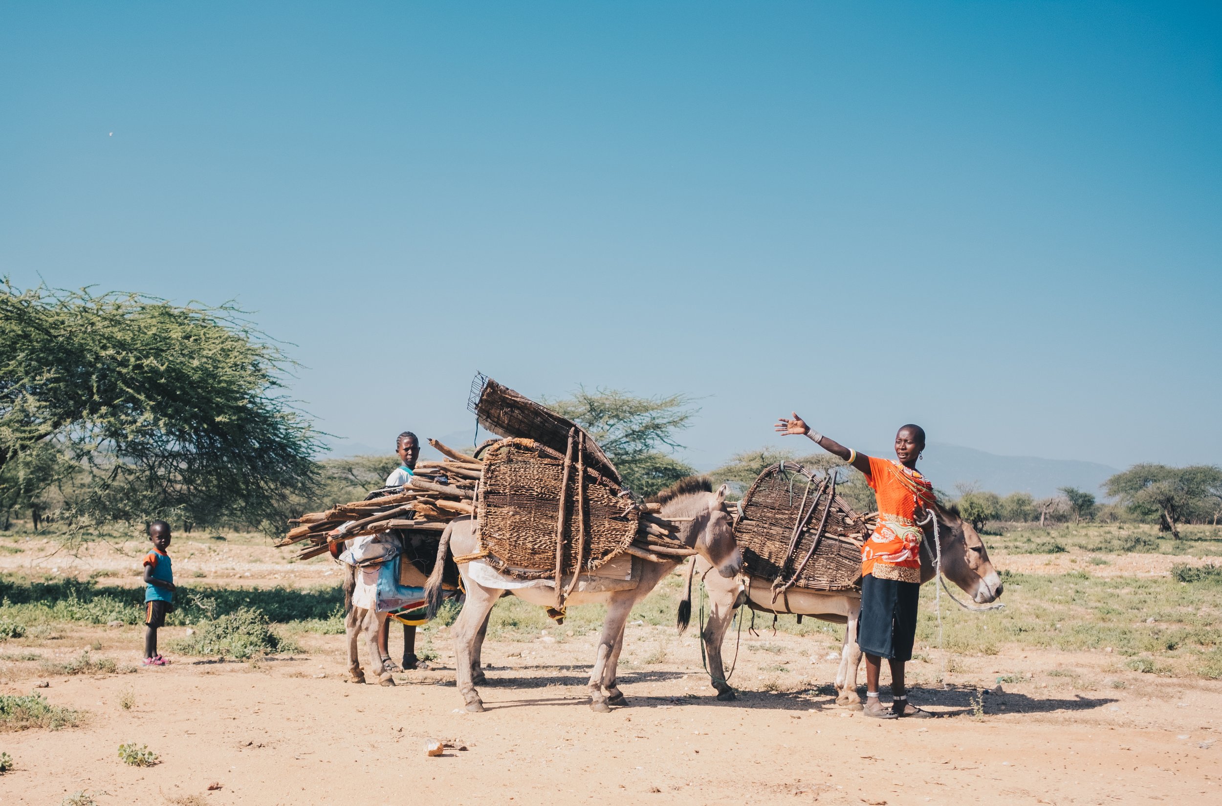 locusts_kenya-7.jpg