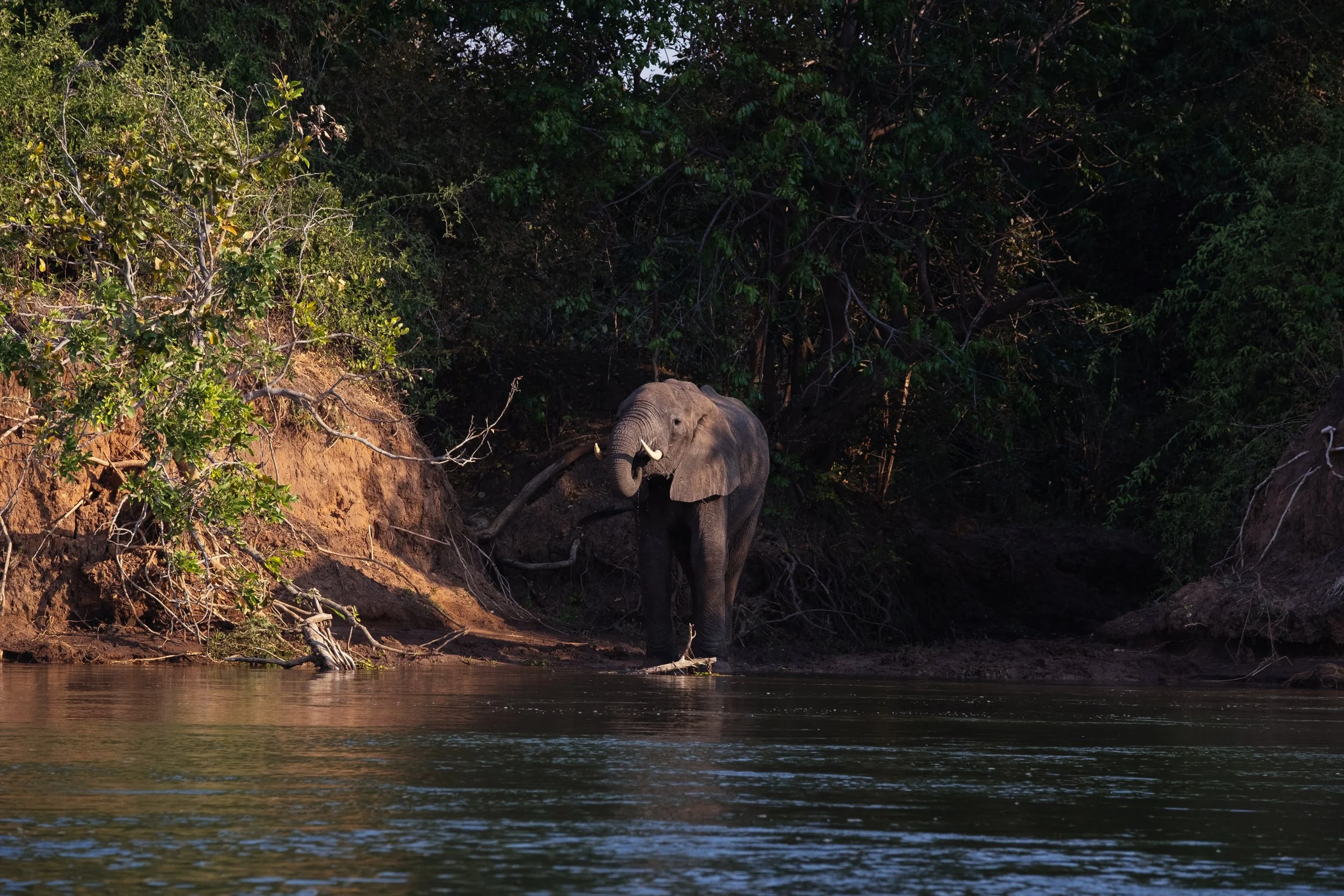 Lower Zambezi Boat Safari-5.jpg