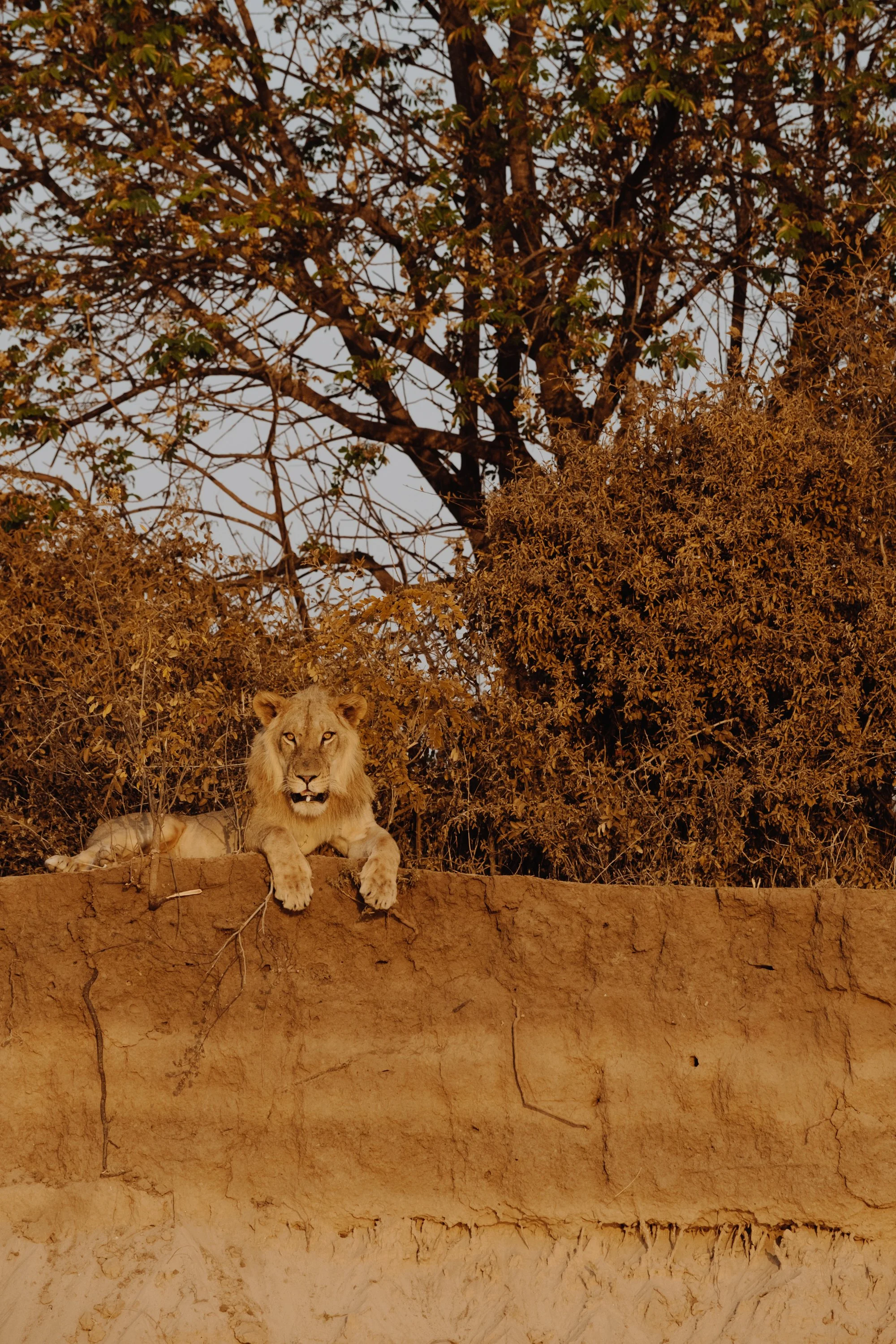 Lower Zambezi Boat Safari-6.jpg