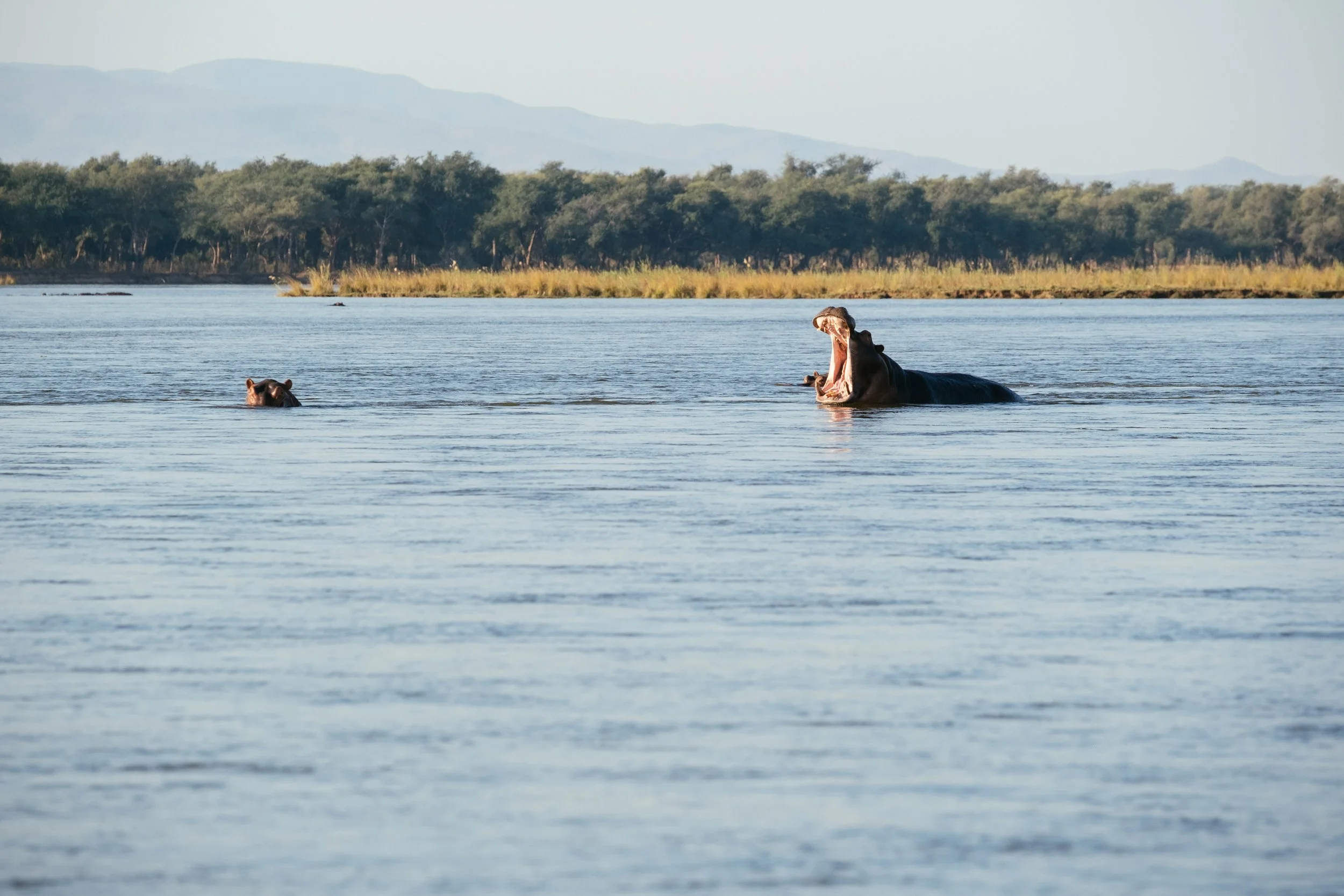 Lower Zambezi Boat Safari-14.jpg