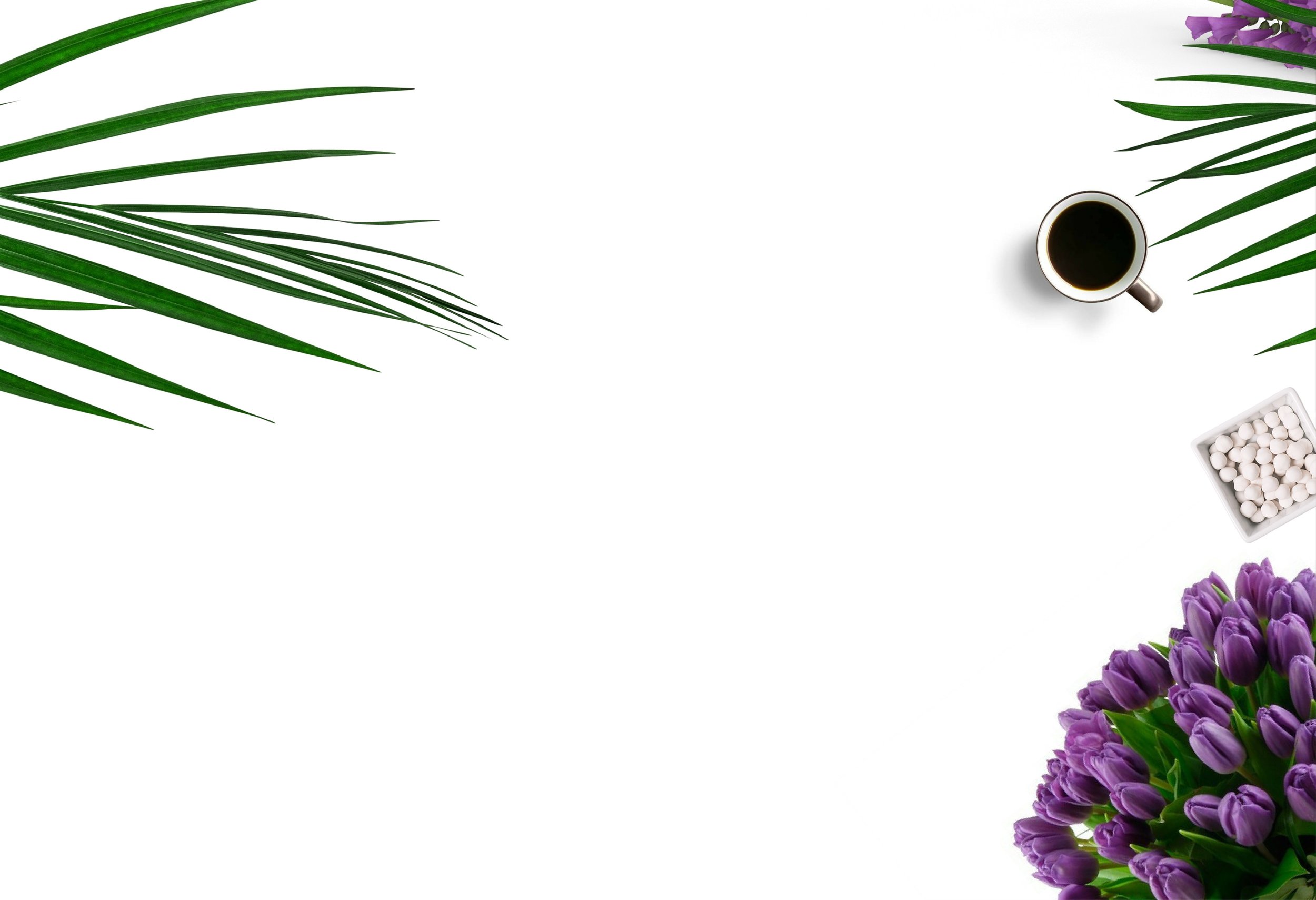 bloom-blooming-cafe-768943.jpg