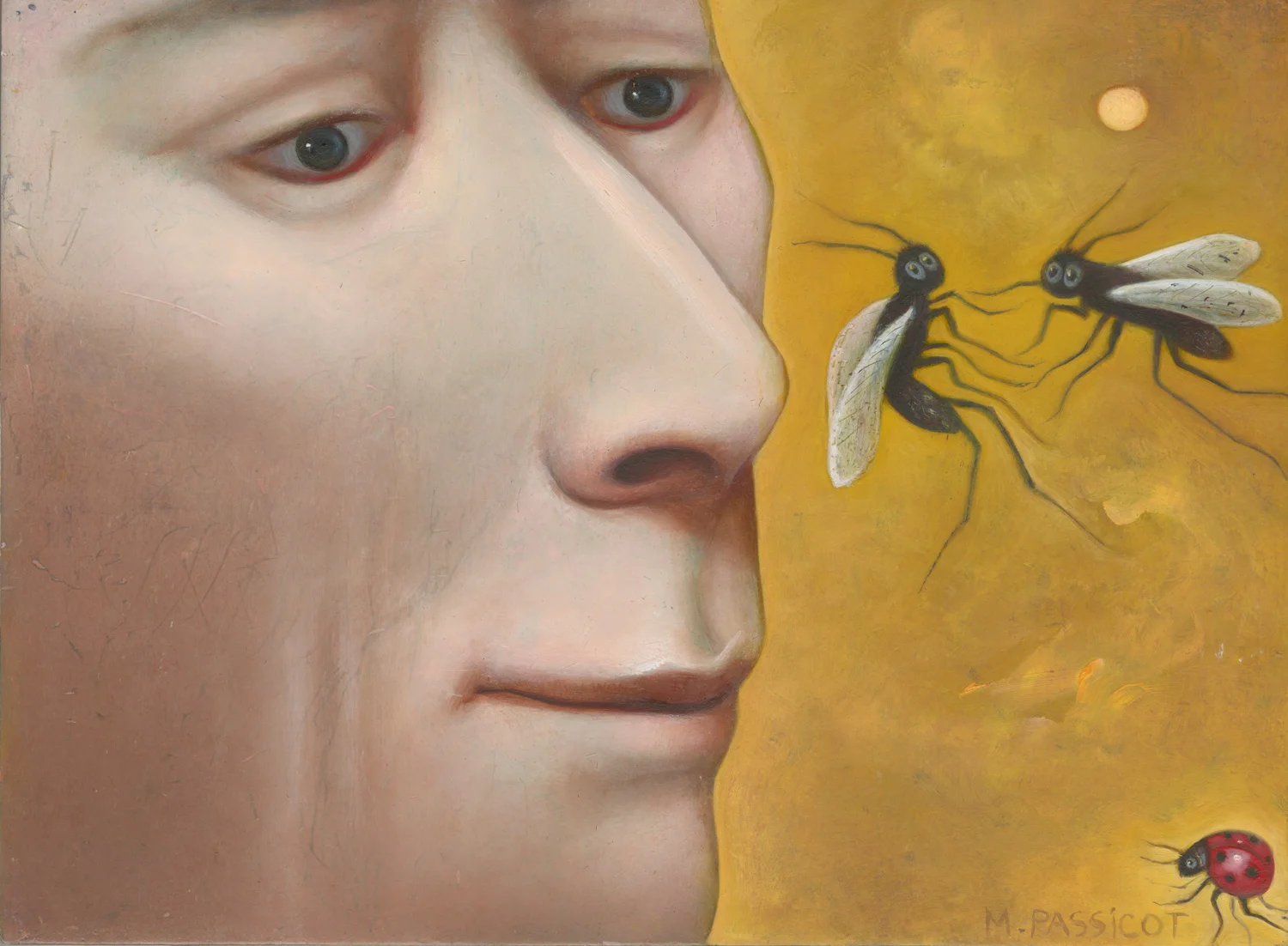 Bugs