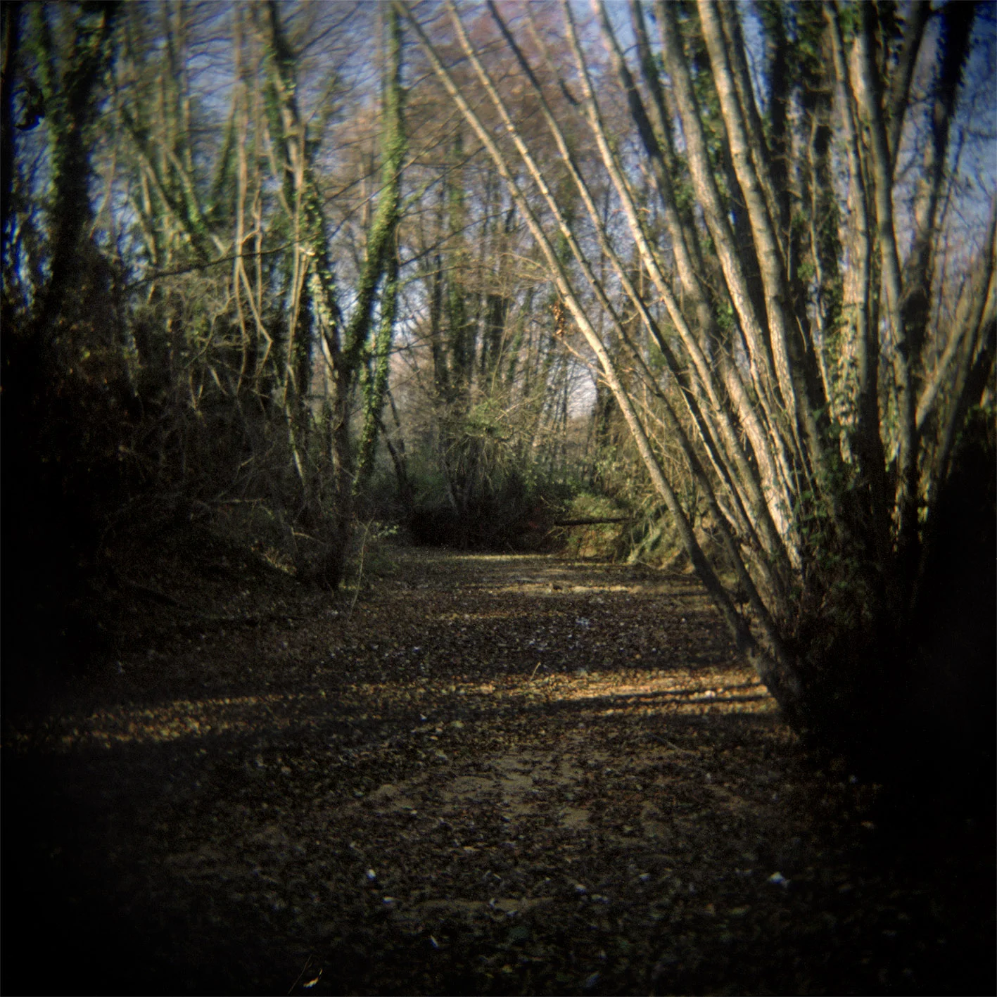 VolaVisuals in the Eye of the Beholder - 001.jpg