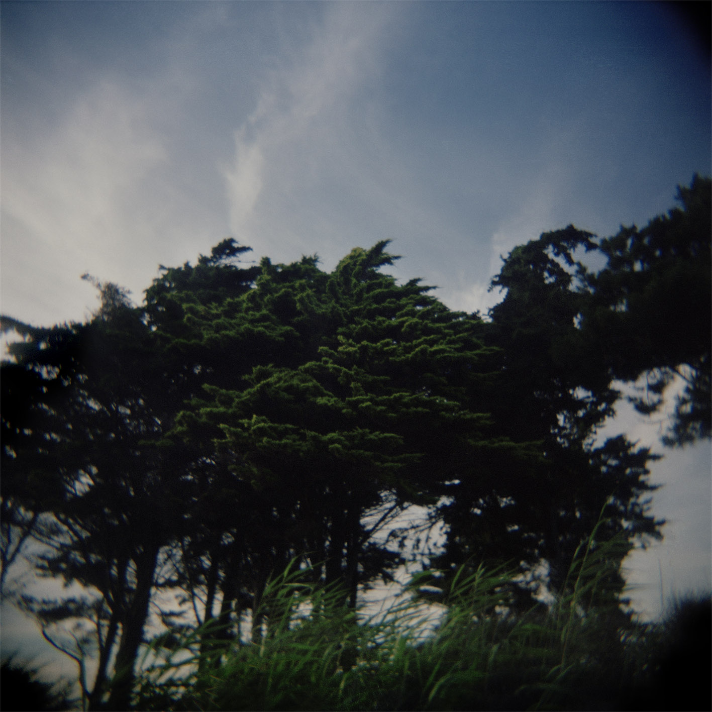 VolaVisuals in the Eye of the Beholder - 009.jpg