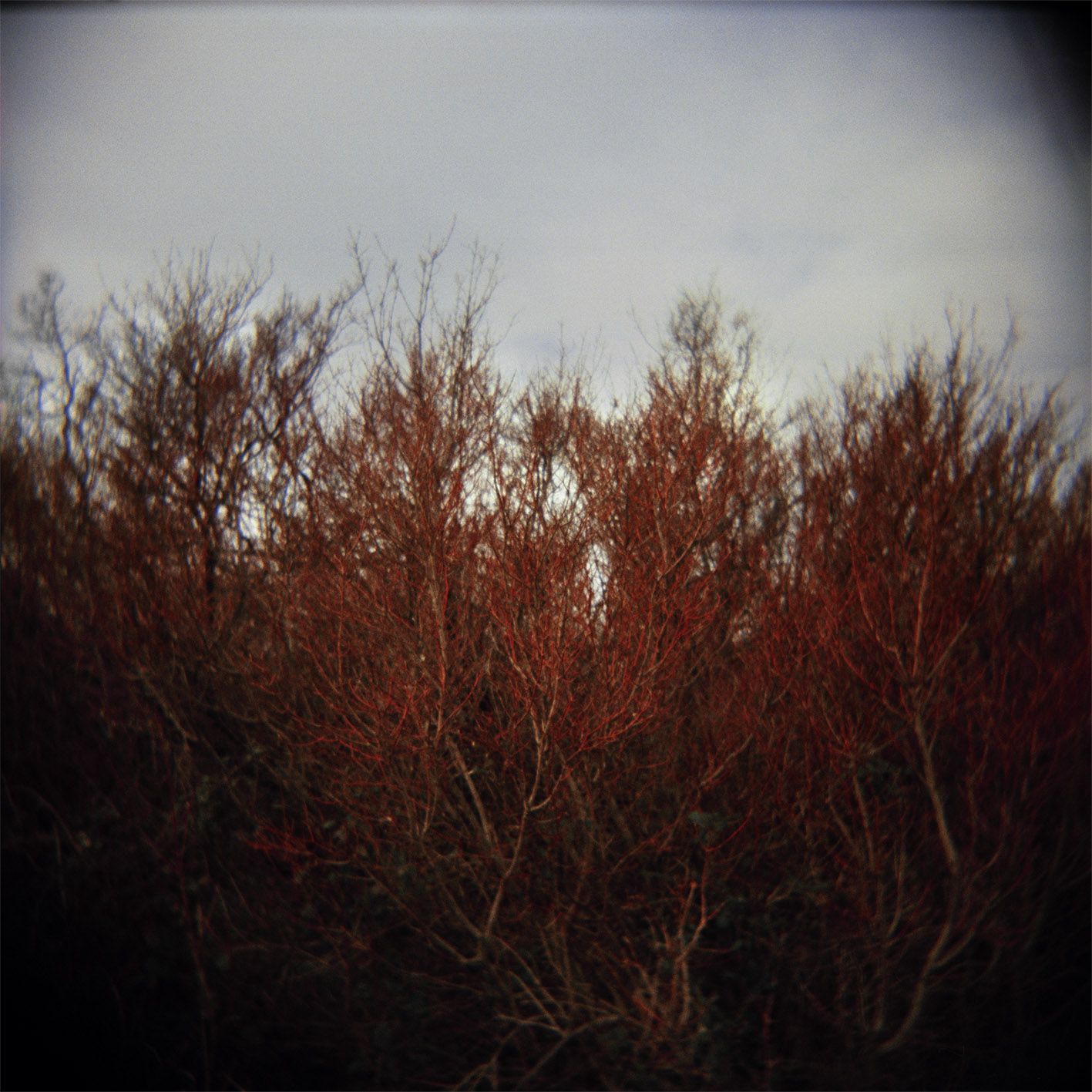VolaVisuals in the Eye of the Beholder - 024.jpg
