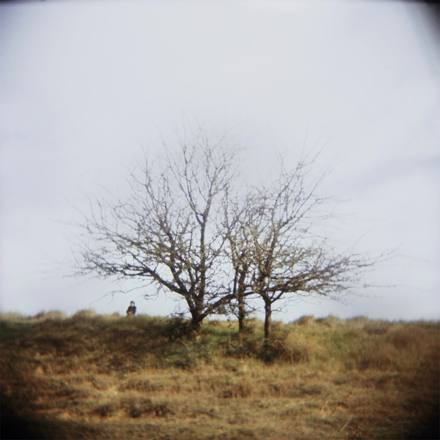 VolaVisuals in the Eye of the Beholder - 026.jpg