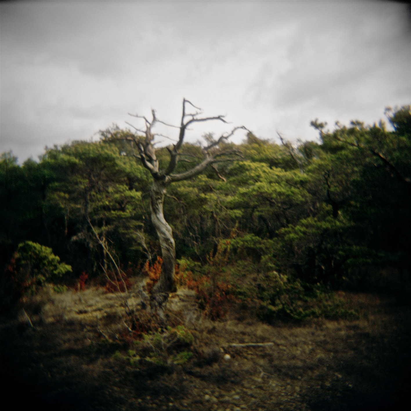 VolaVisuals in the Eye of the Beholder - 039.jpg