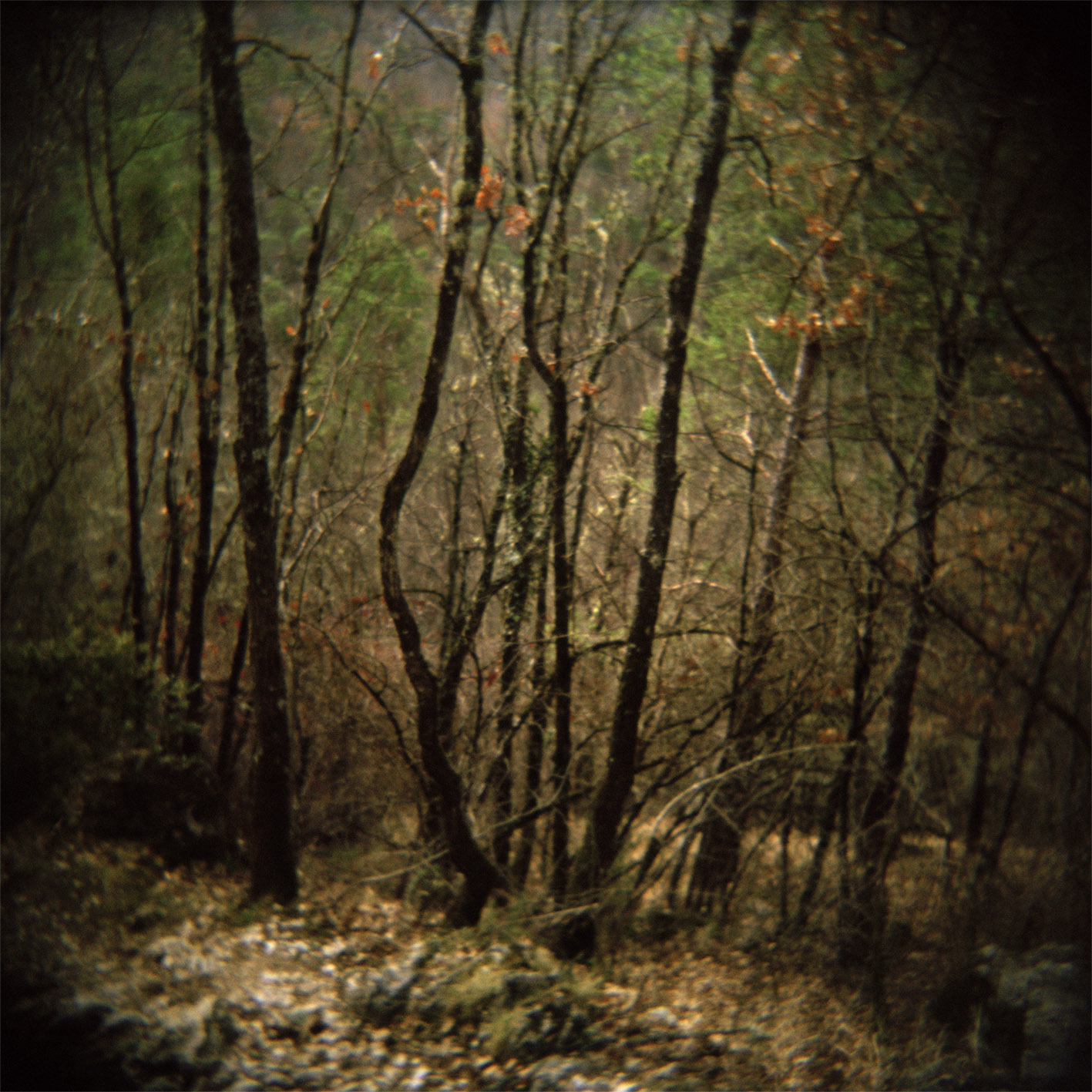 VolaVisuals in the Eye of the Beholder - 043.jpg