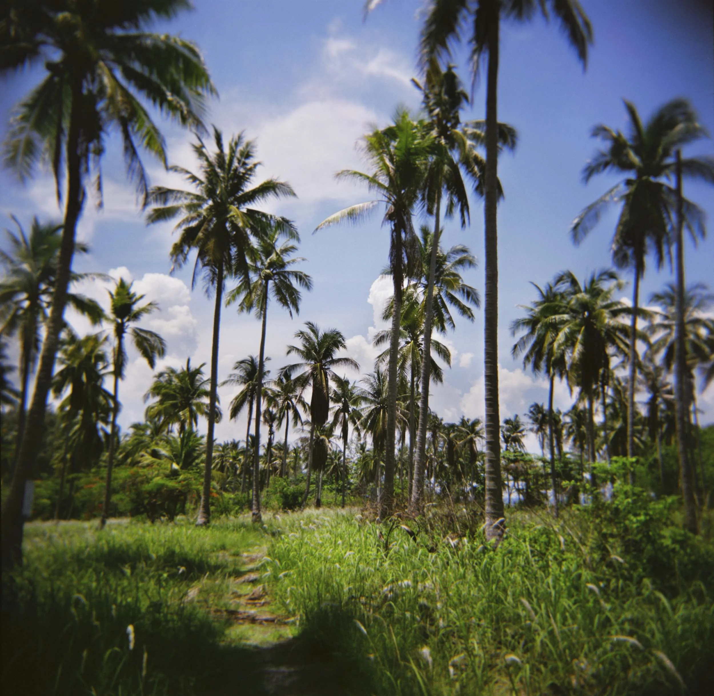 VolaVisuals Krabi Thailand - 011.jpg