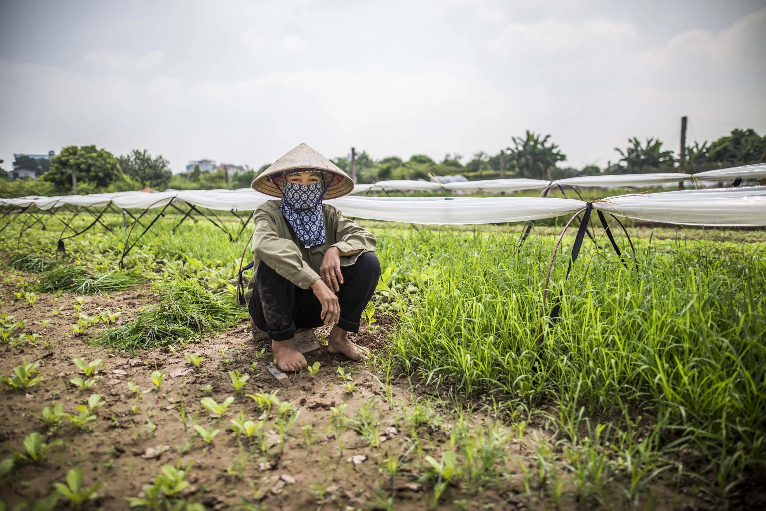 VolaVisuals Farming in Hanoi - 032.jpg