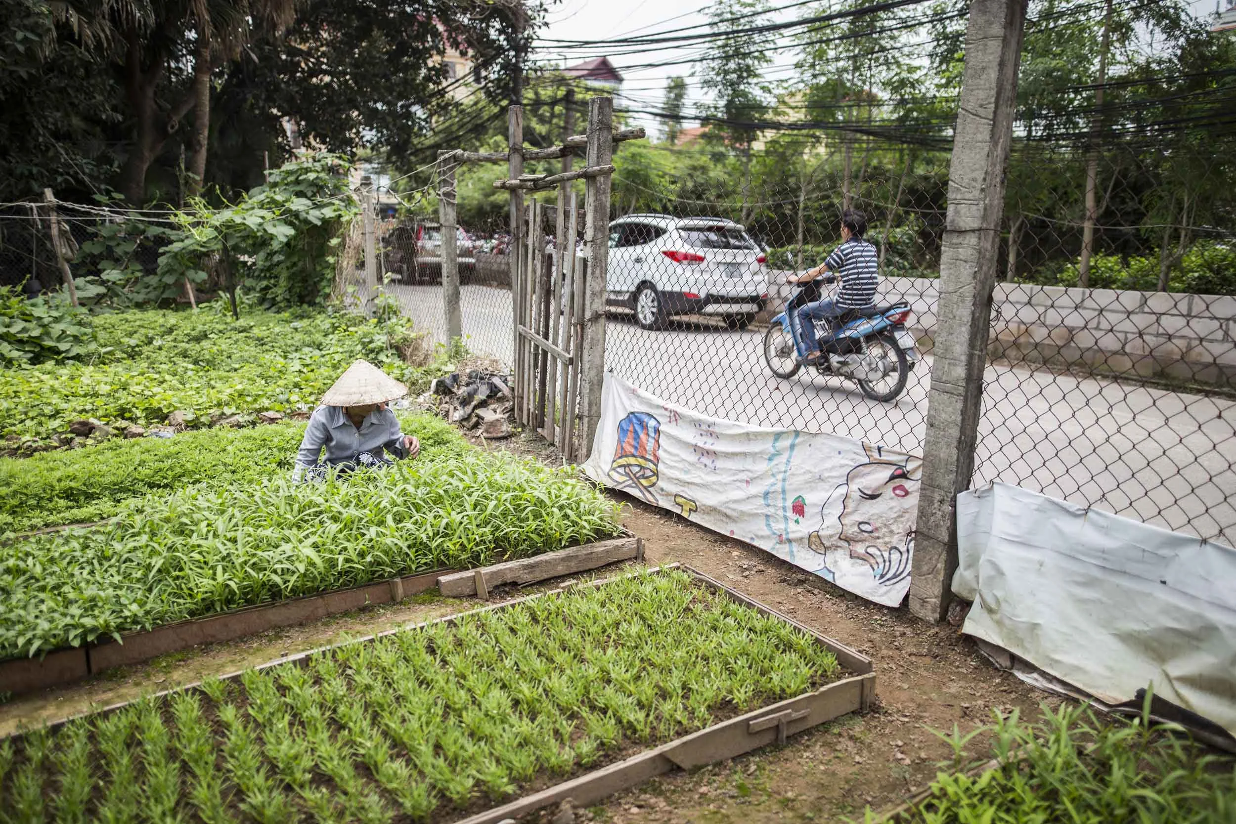 VolaVisuals Farming in Hanoi - 035.jpg