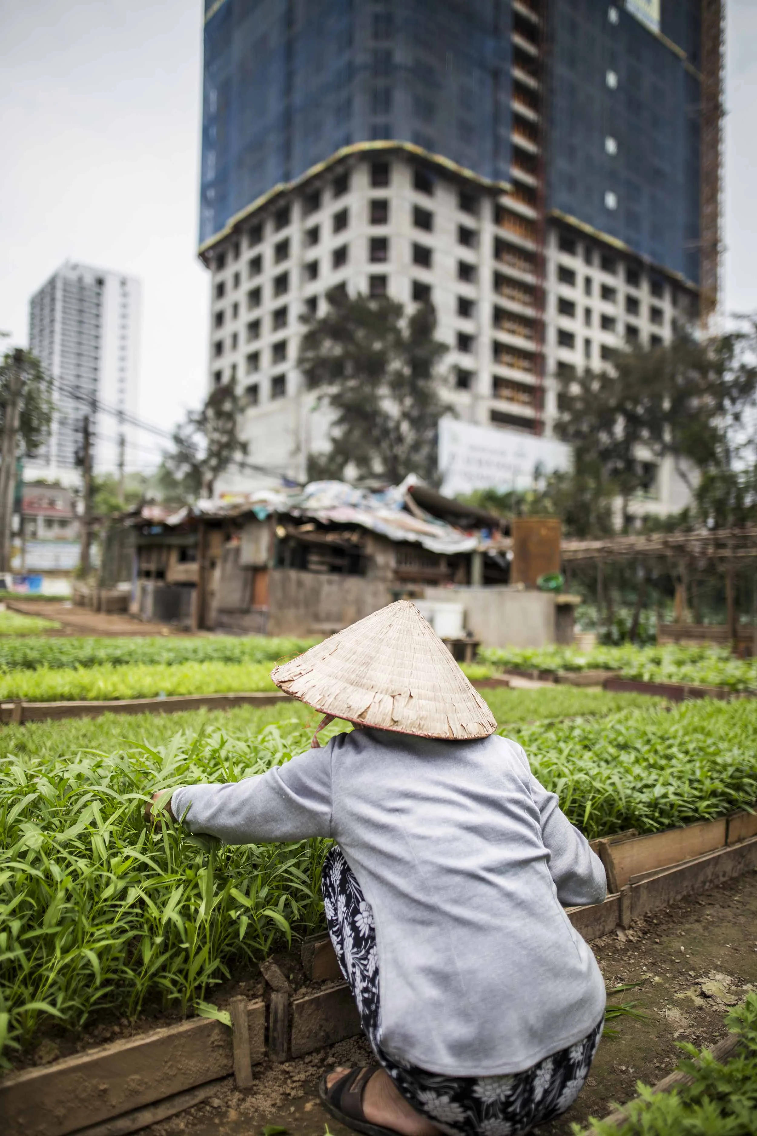 VolaVisuals Farming in Hanoi - 036.jpg