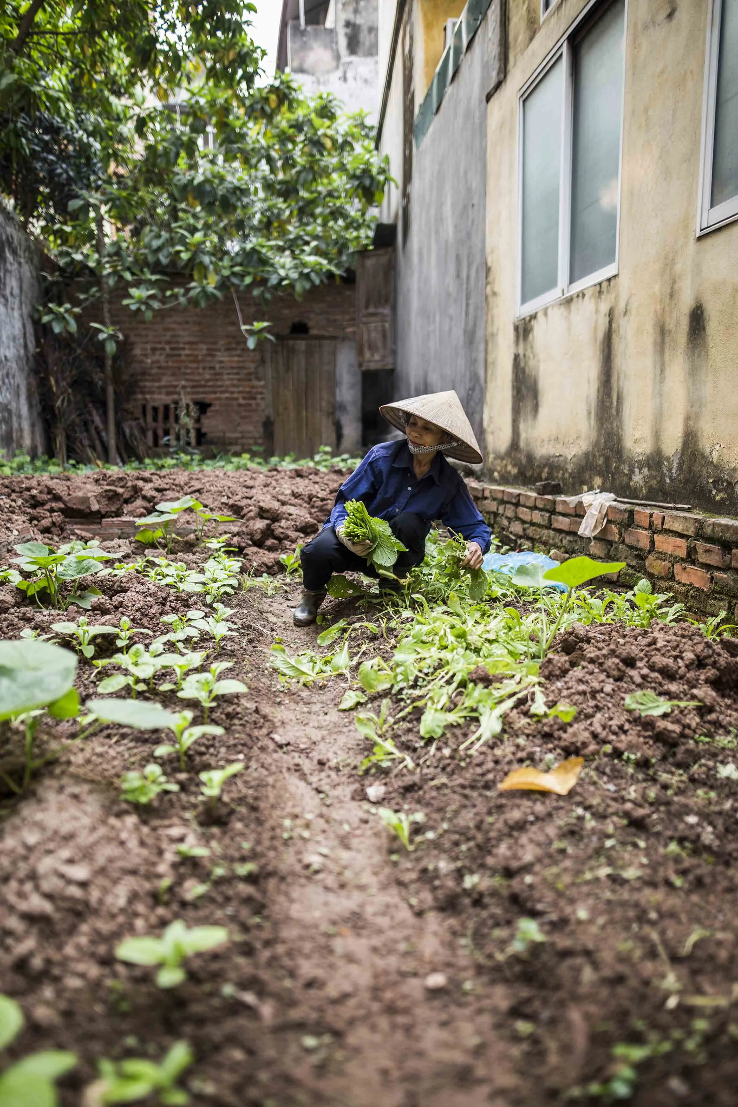 VolaVisuals Farming in Hanoi - 038.jpg