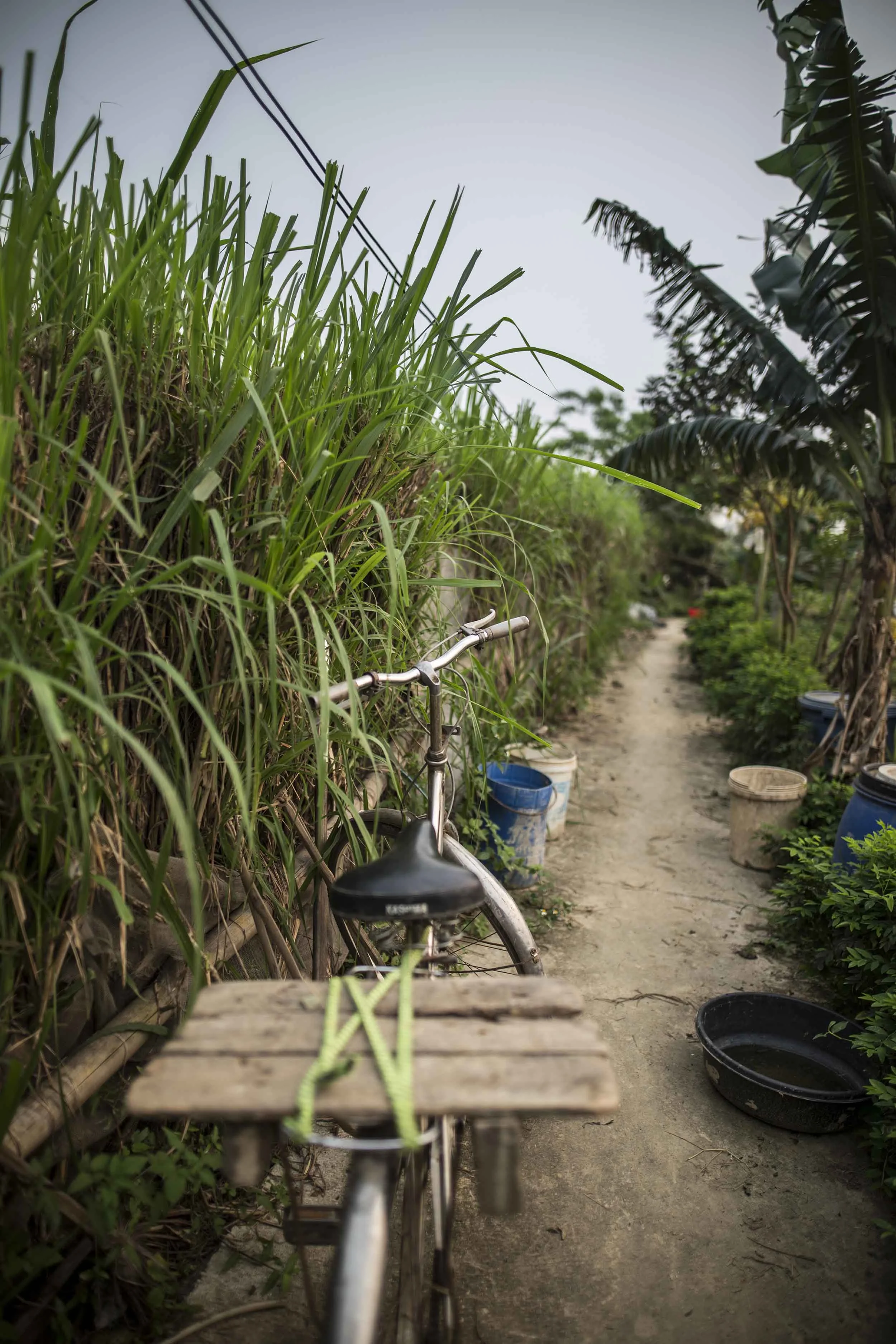 VolaVisuals Farming in Hanoi - 053.jpg