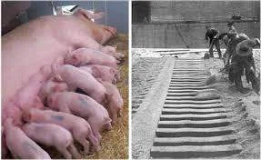 Navnet “pig iron” kommer av at støperennen og de tilkoblede formene (pigs) ligner en purke som mater ungene sine.