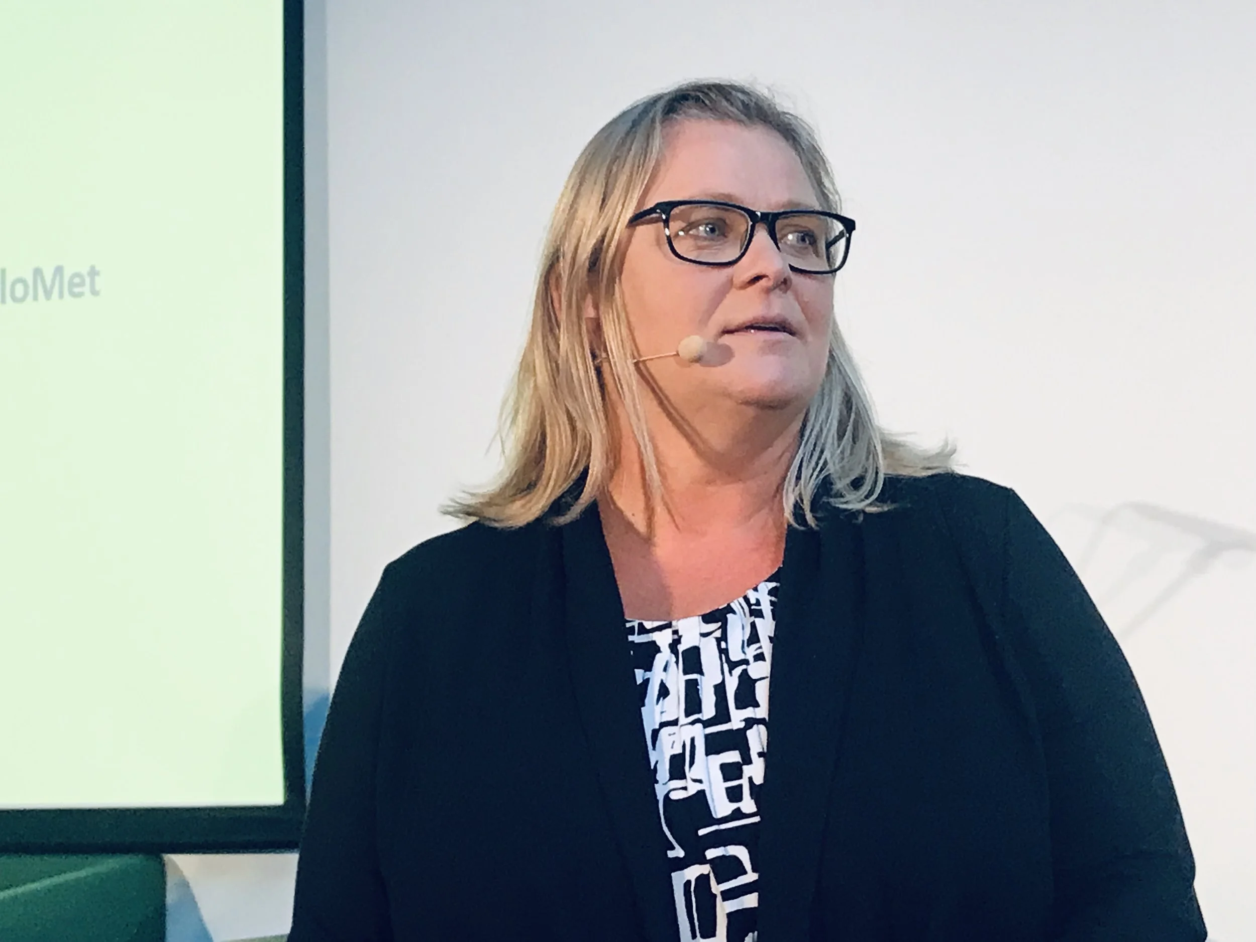 Professor ved OsloMet Halla Bjørk Holmarsdottir