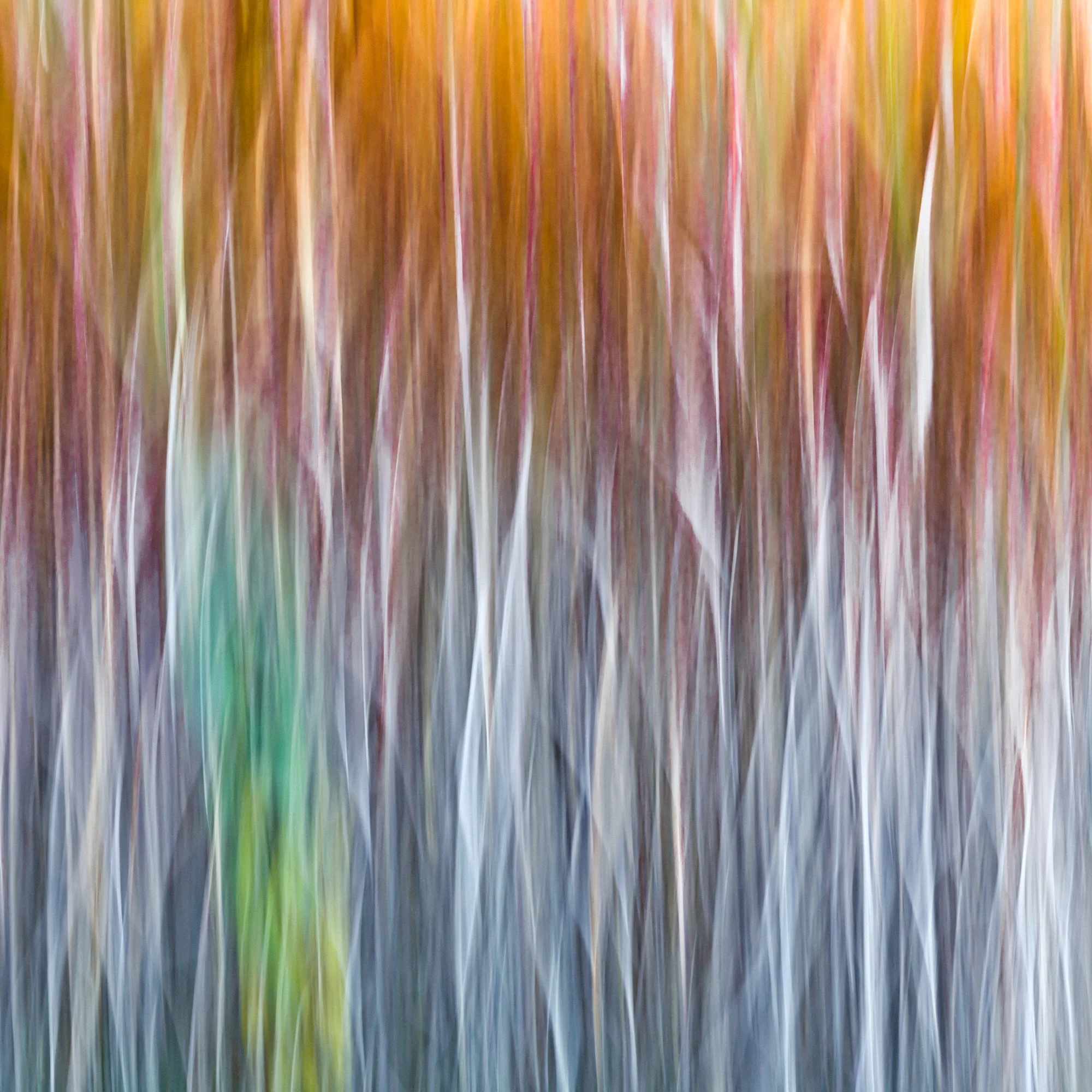 Gras, Zürich, Personal Work, Fotostory, Naturfotografie, Fotograf Zürich, Schweiz
