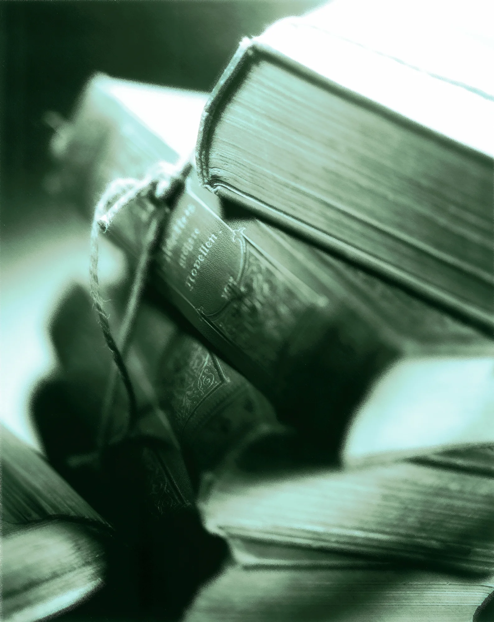 Stilllife, Personal Work, Fotostory, Stillifefotografie, Fotograf Zürich, Schweiz