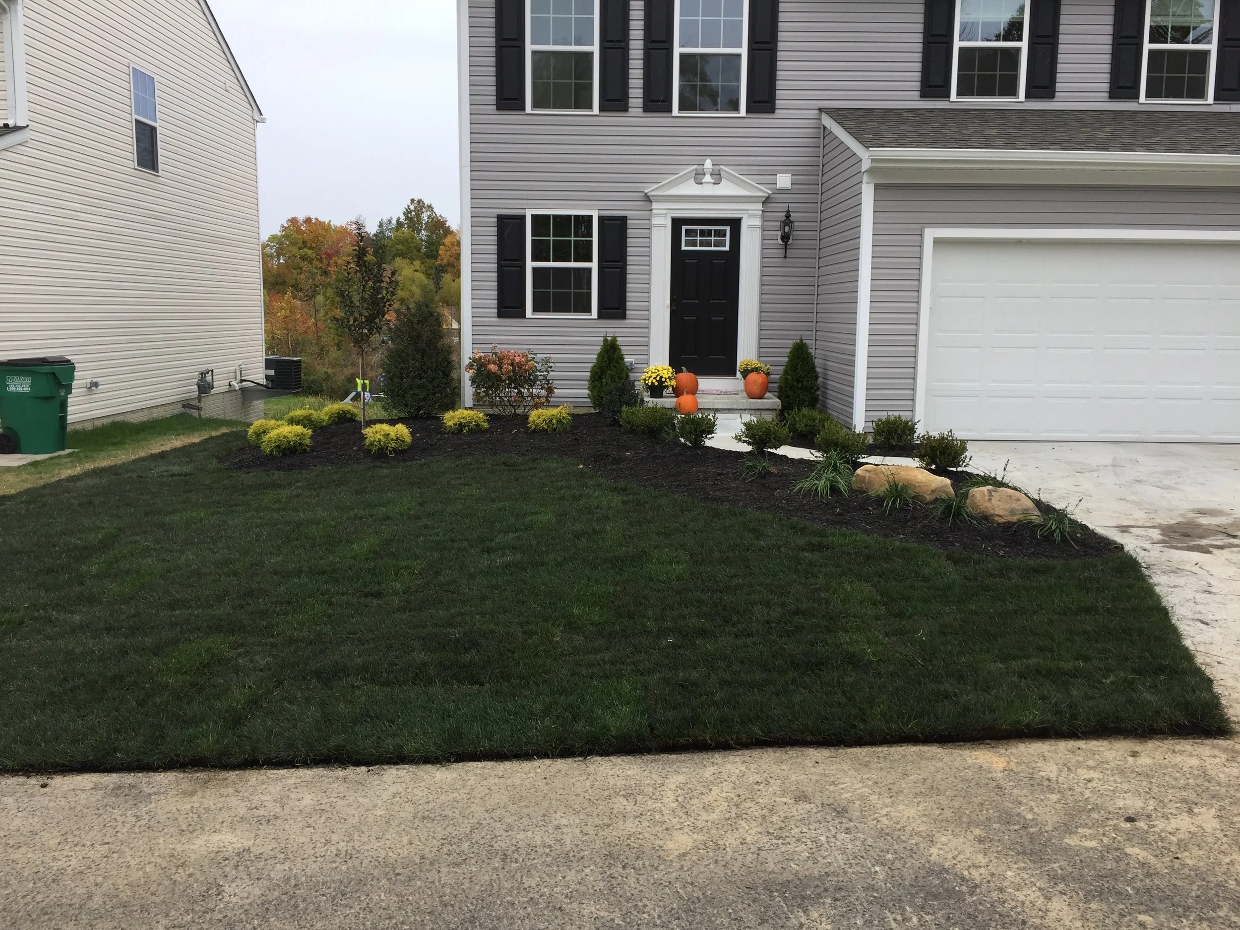 As the plants grow, they will fill in the space nicely. Two arborvitae will frame the door while tree to the left will grow to about 10 feet in the next few years. Homeowners added their own touch with a few pumpkins!