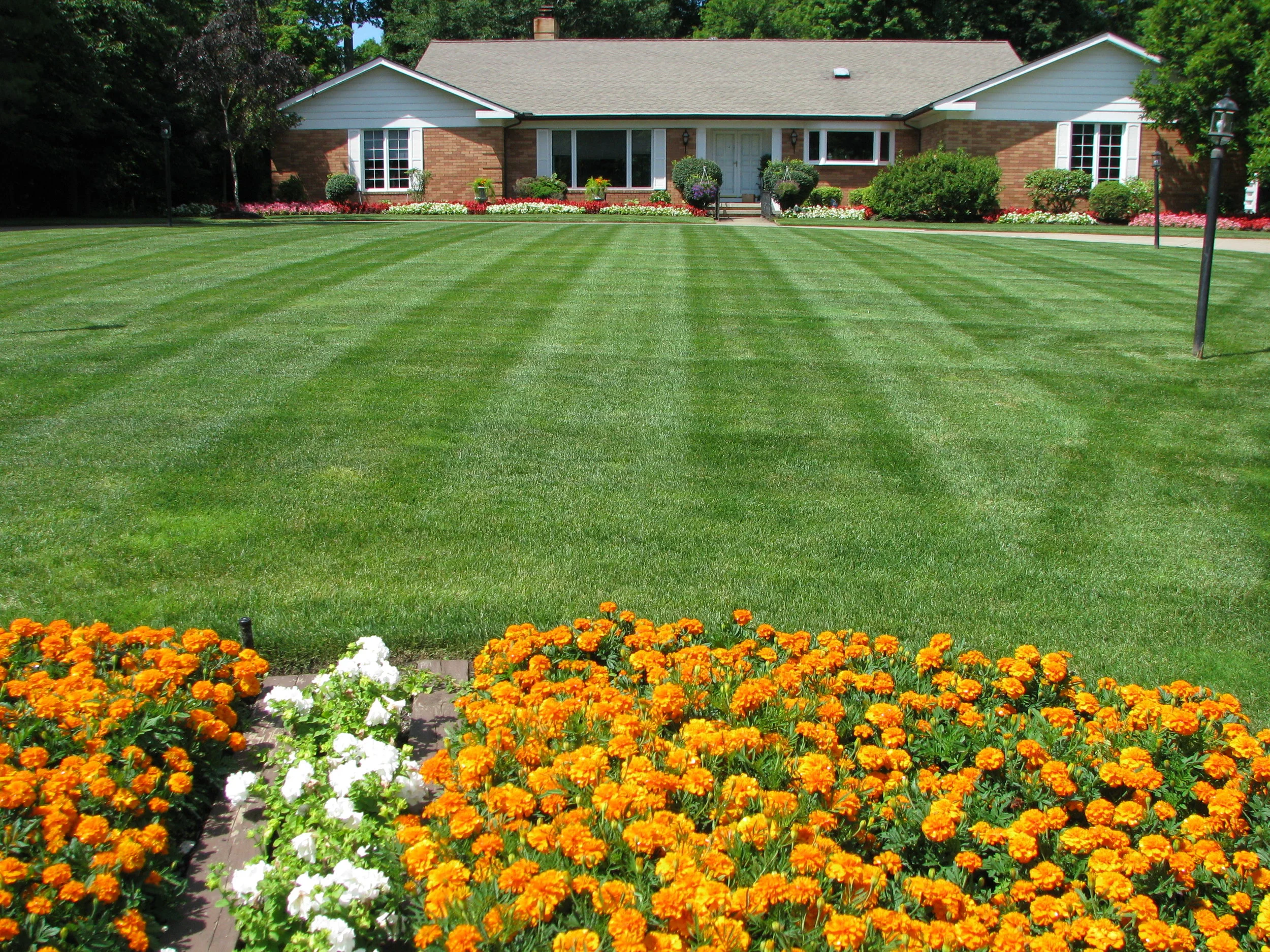 A Homeowner’s Guide to Choosing a Lawn Maintenance Professional