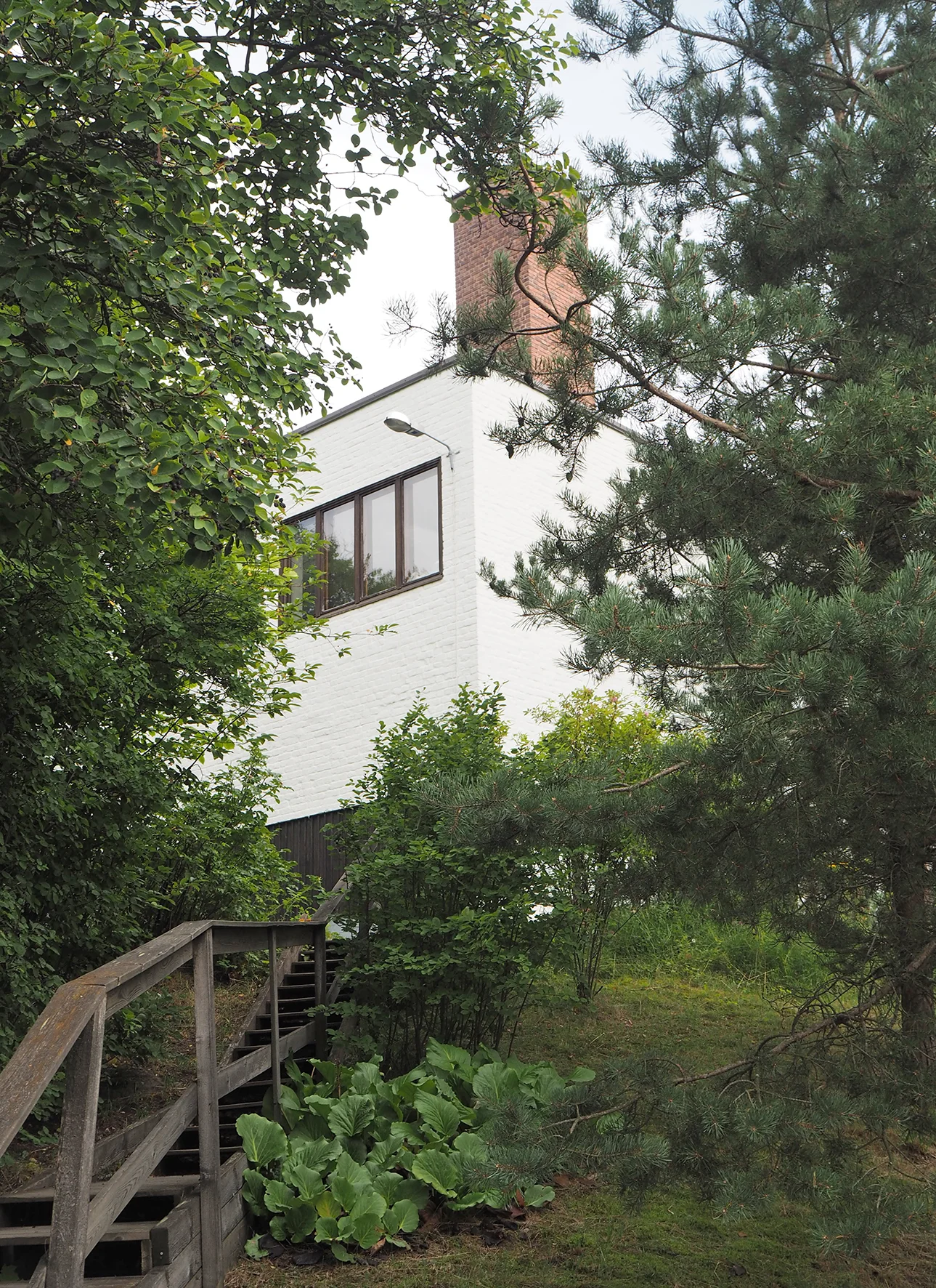 Sunila-19.jpg